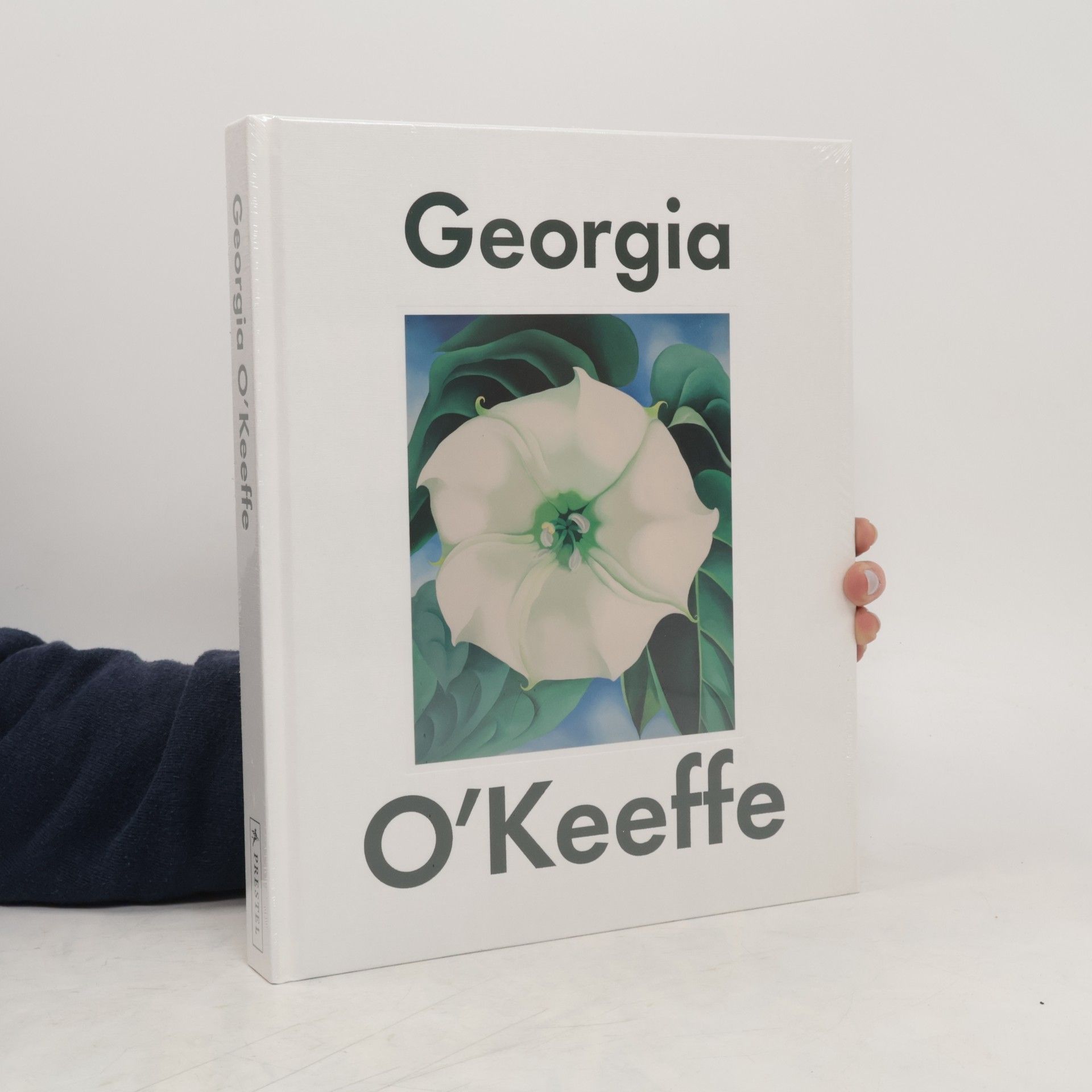 Autorenkollektiv Becoming O'Keeffe