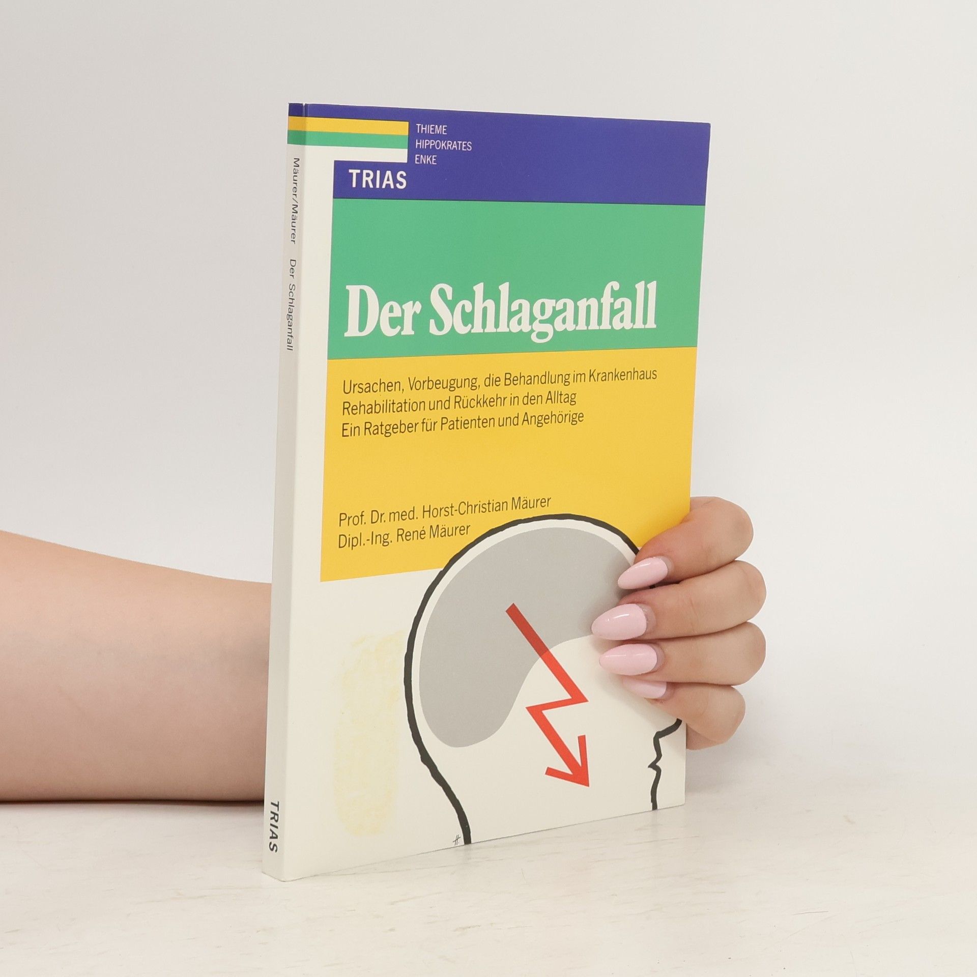 Christian Horst Der Schlaganfall