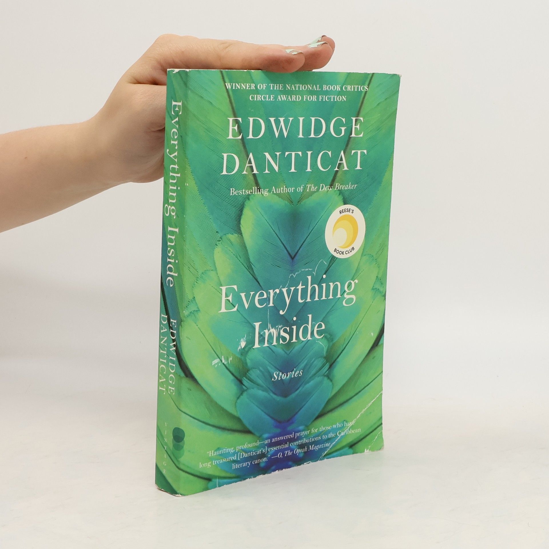 Edwidge Danticat Everything Inside