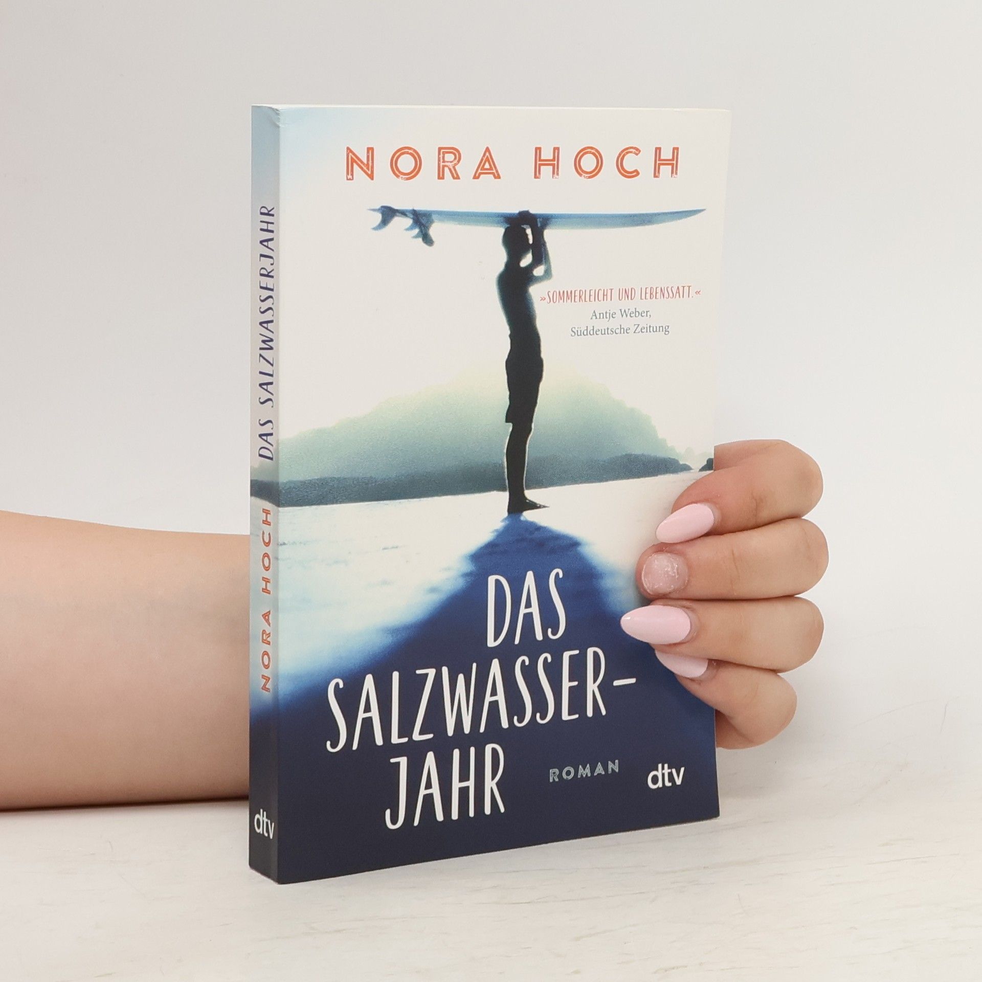 Nora Hoch Das Salzwasserjahr