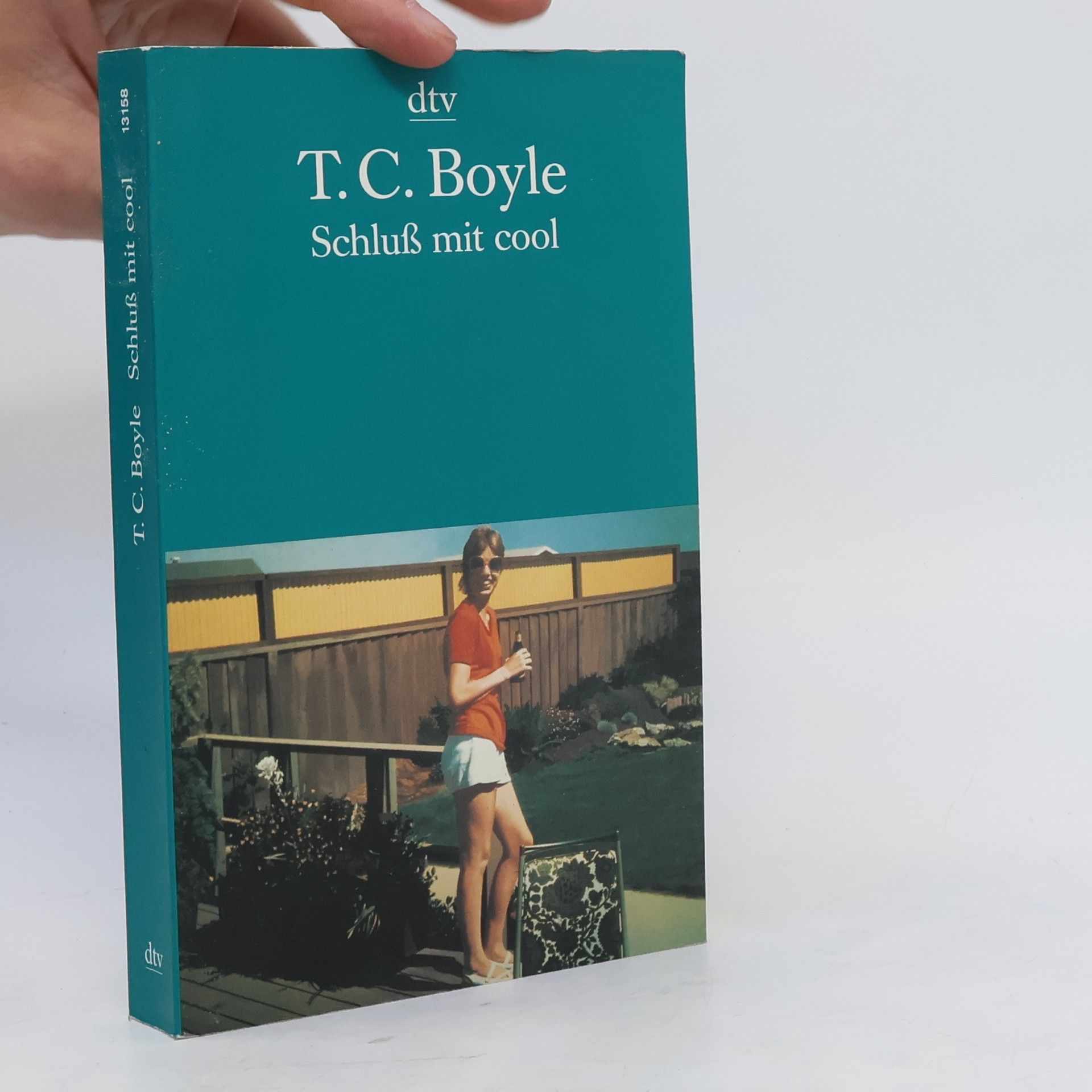 T. Coraghessan Boyle Schluß mit cool