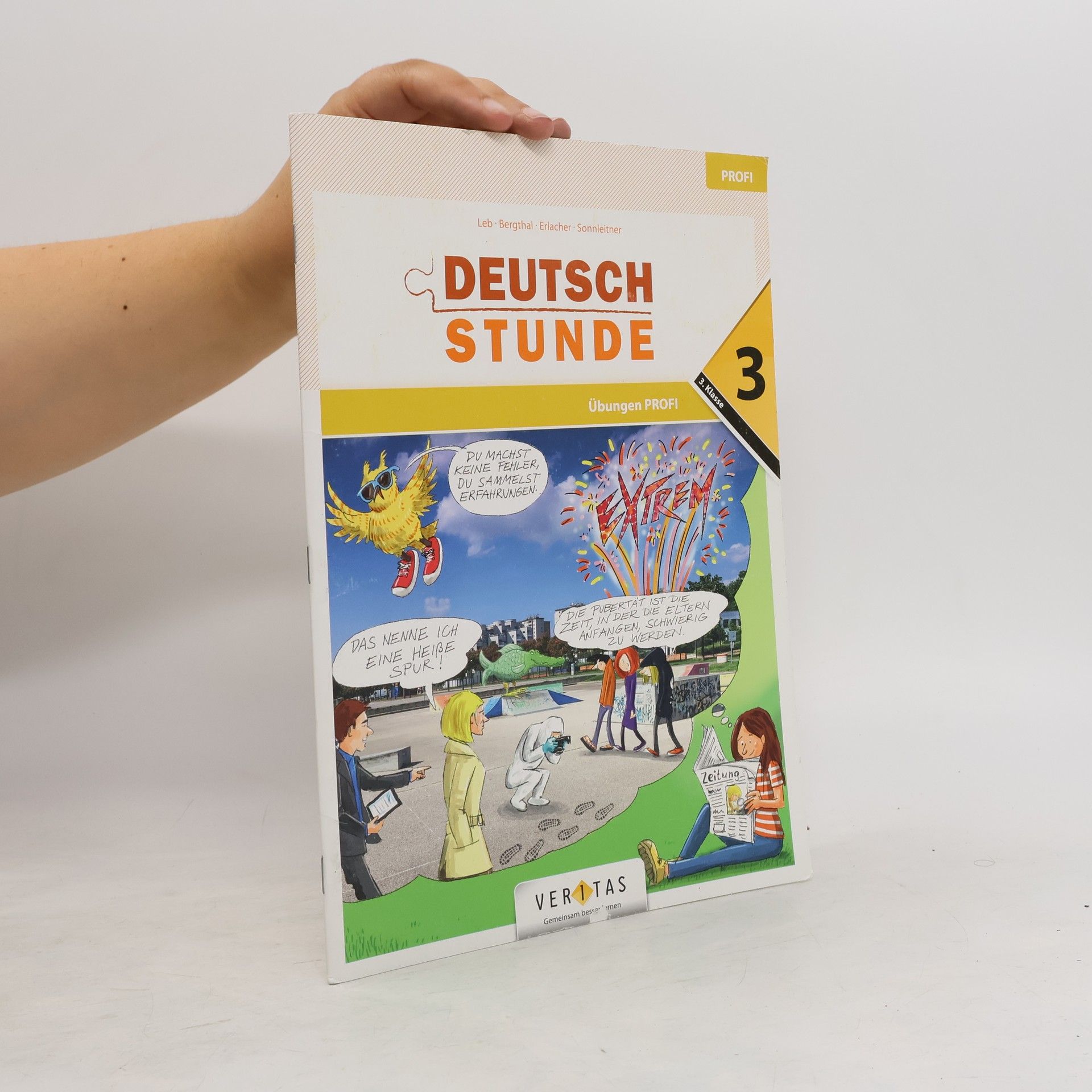 Collective Deutschstunde 3