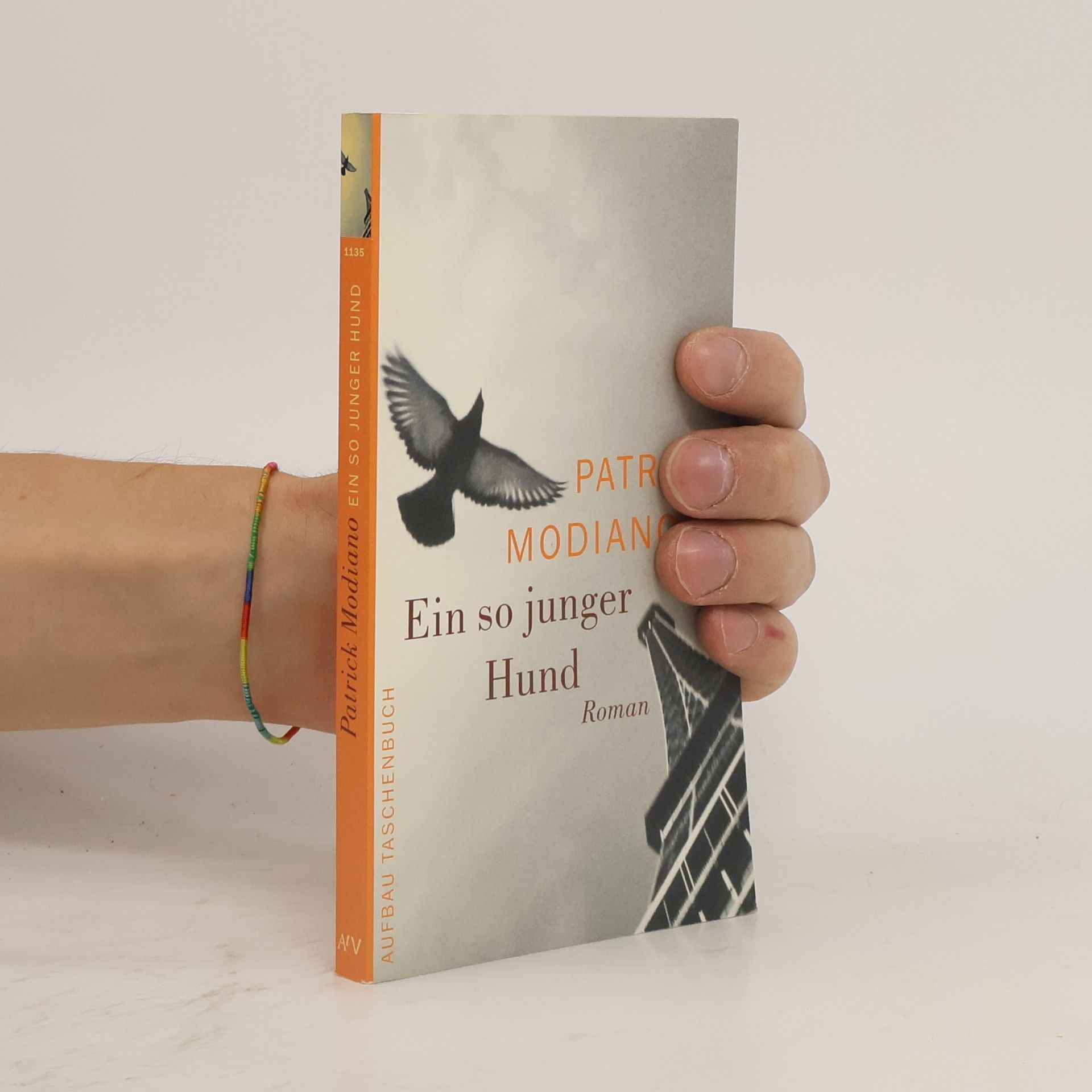 Patrick Modiano Ein so junger Hund