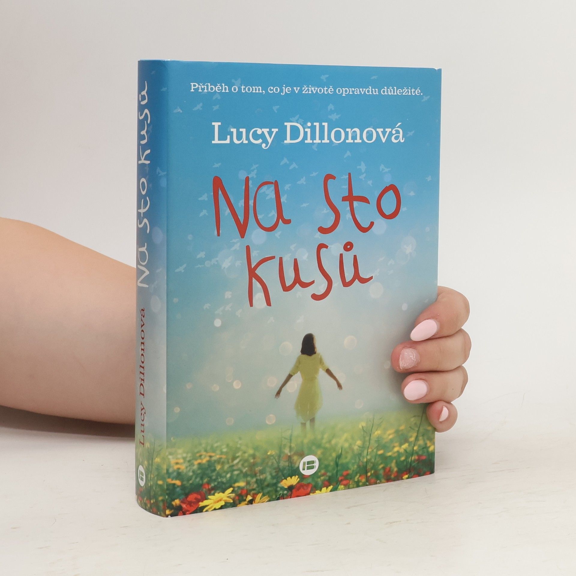 Lucy Dillon Na sto kusů