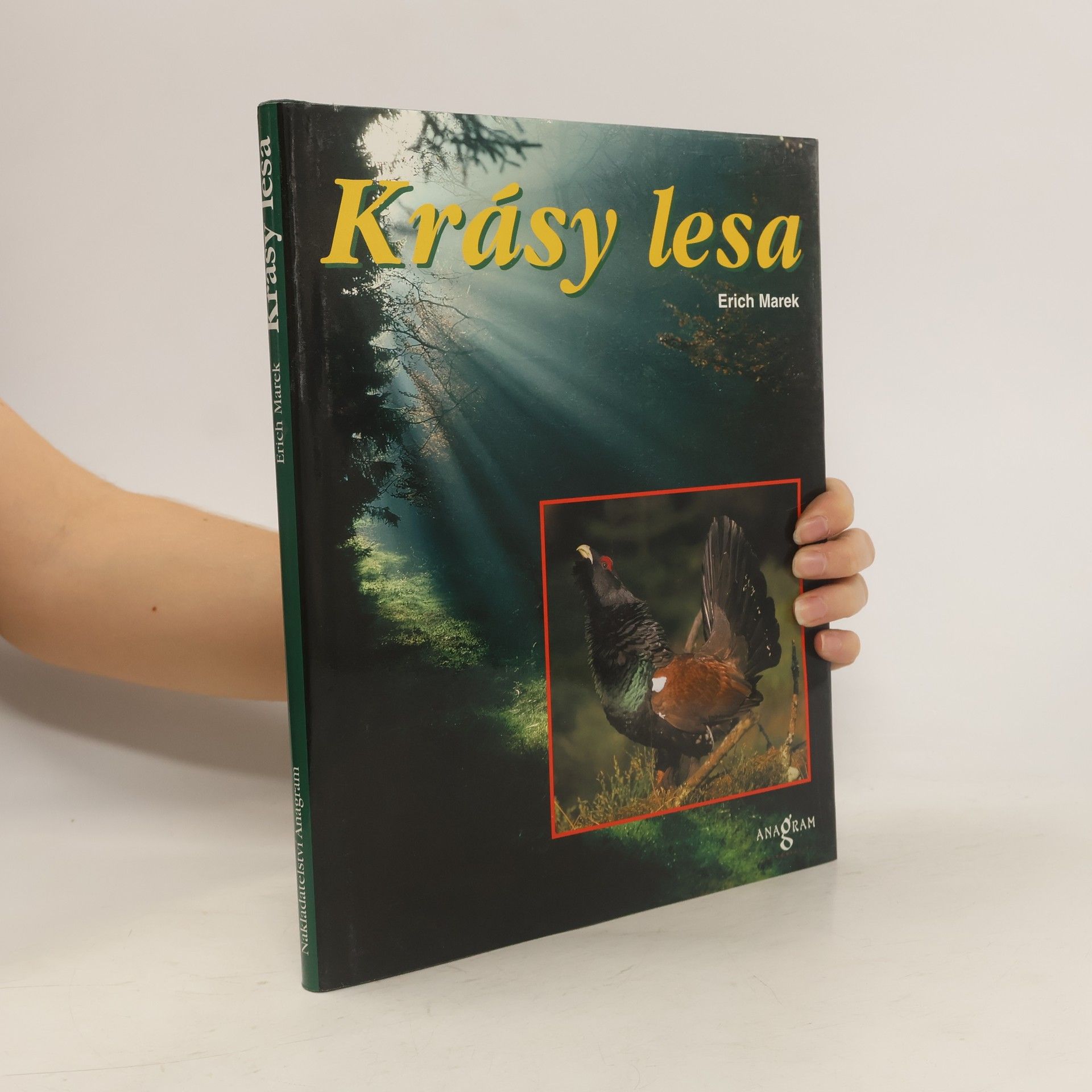 Erich Marek Krásy lesa