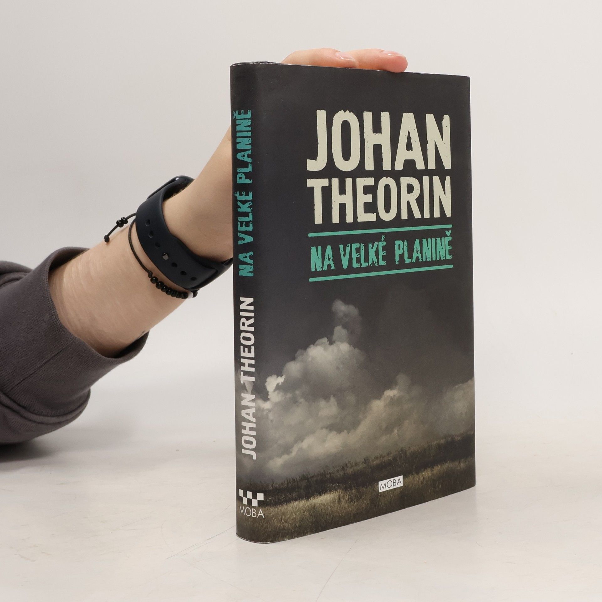 Johan Theorin Na velké planině