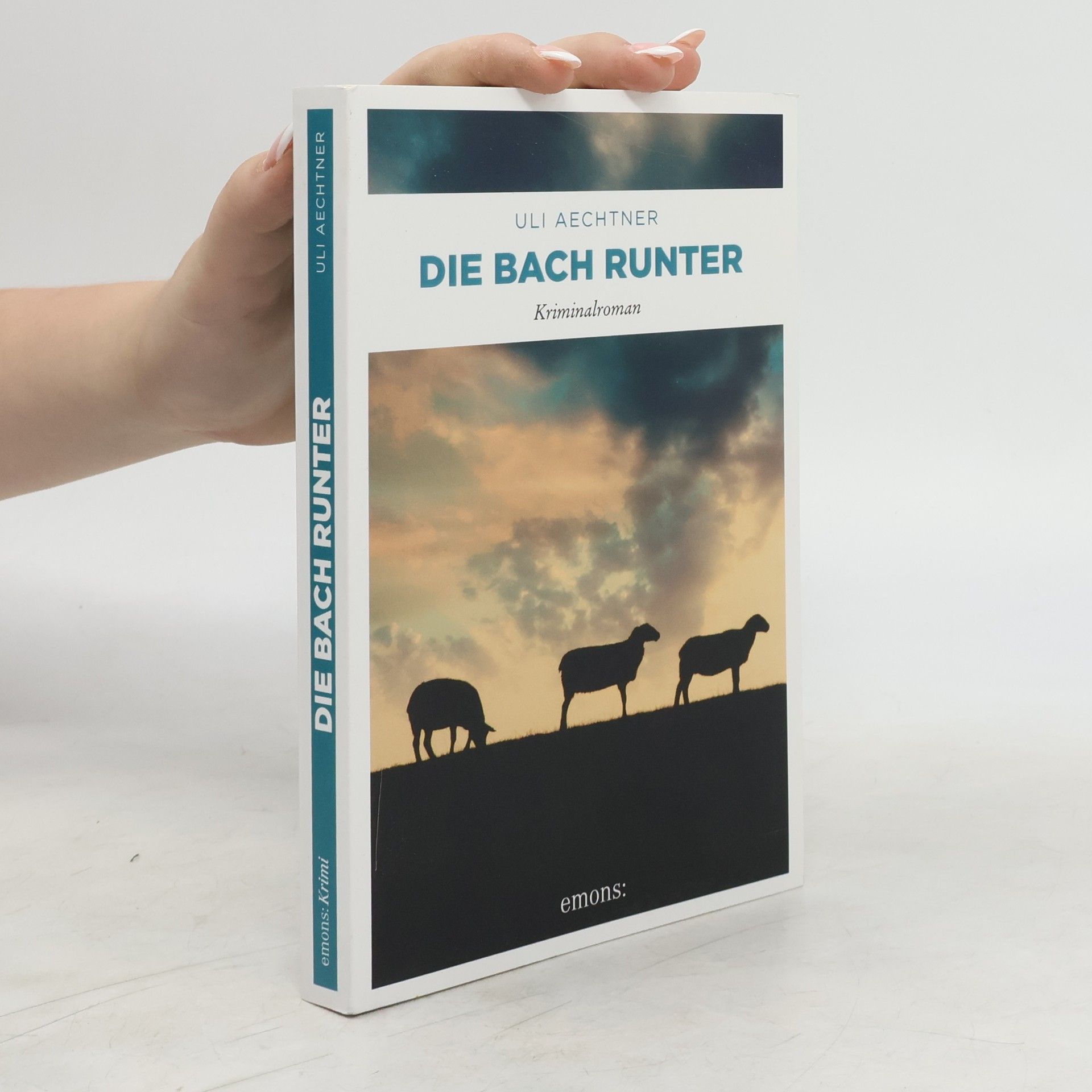 Uli Aechtner Die Bach runter