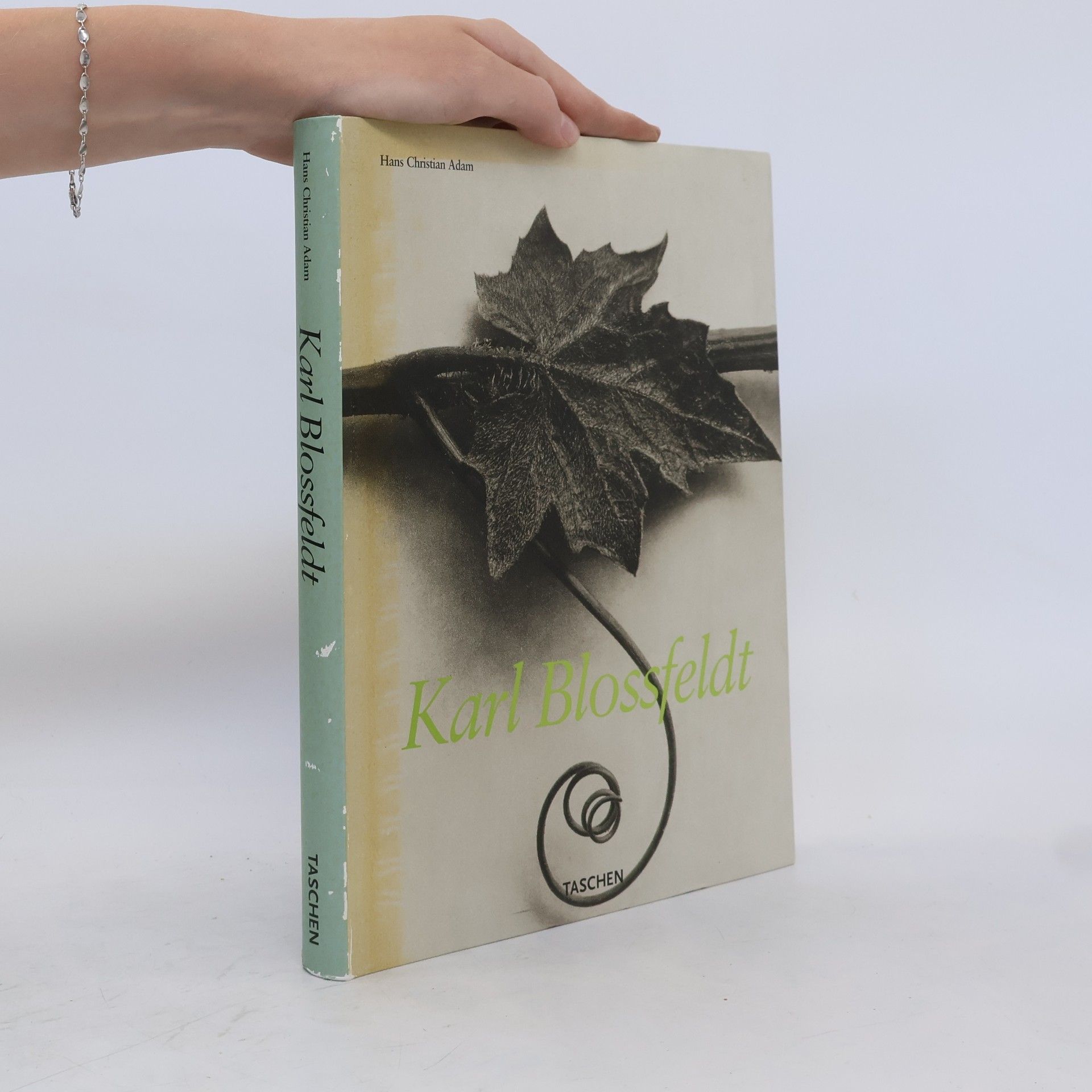 Karl Blossfeldt Karl Blossfeldt