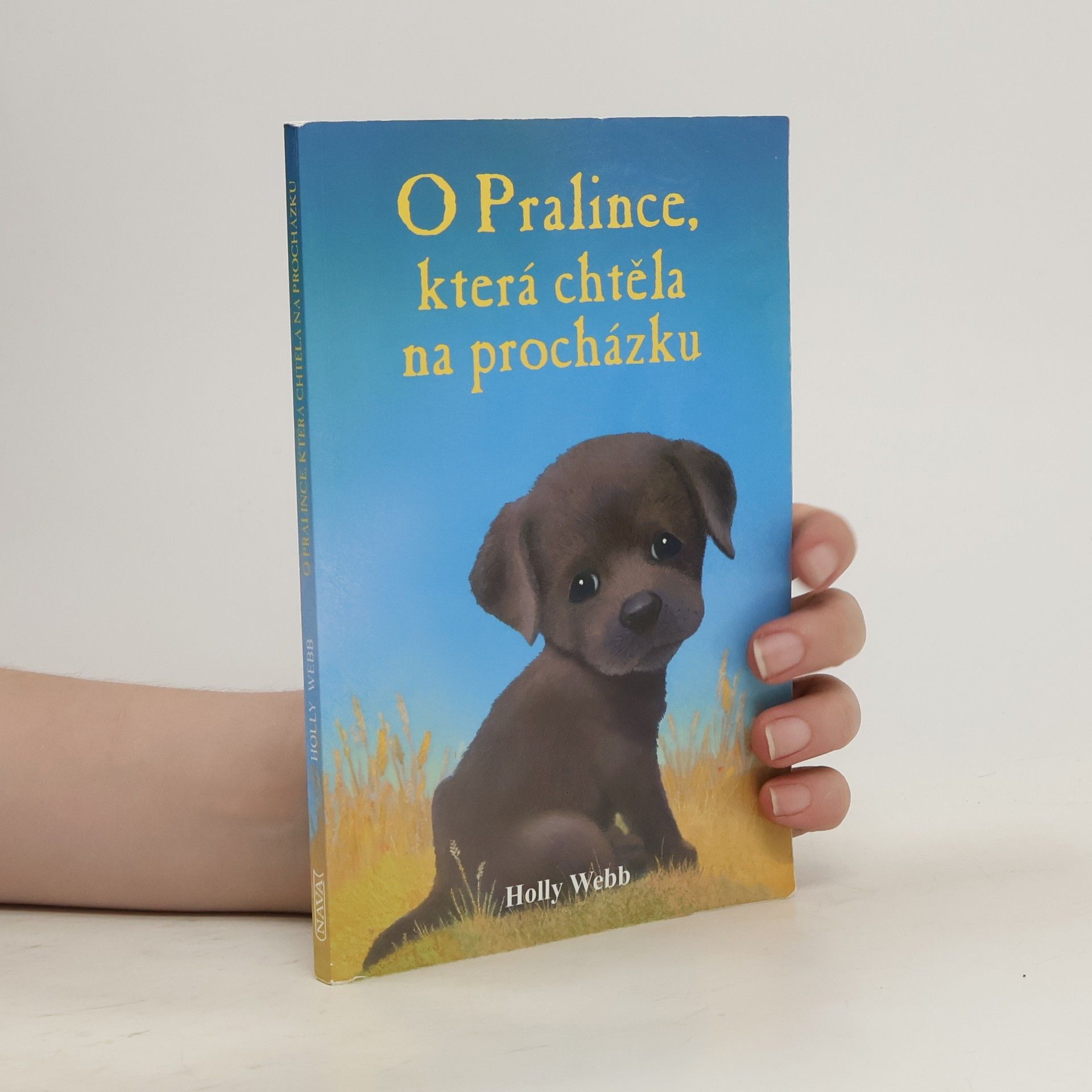Holly Webb O Pralince, která chtěla na procházku