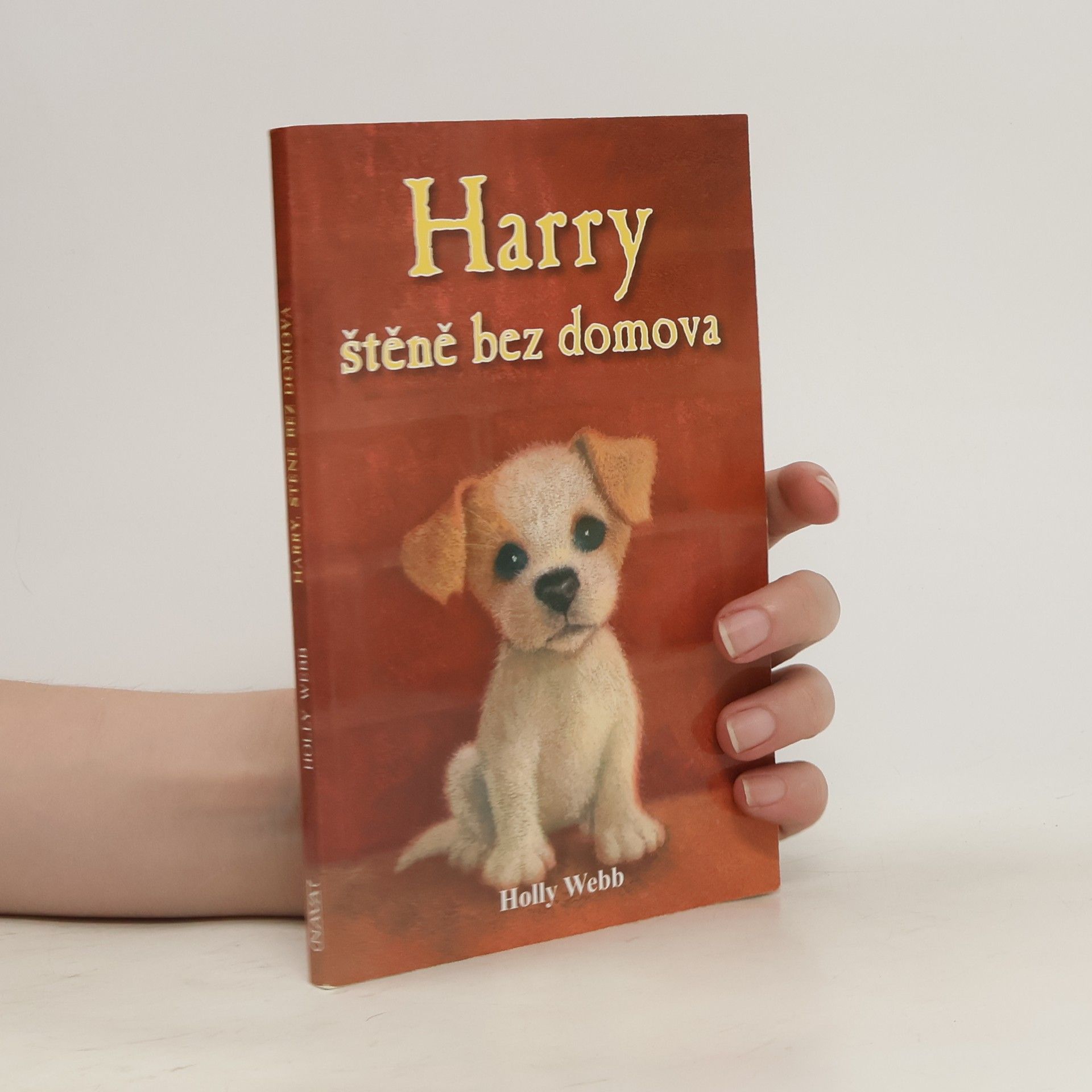 Holly Webb Harry, štěně bez domova