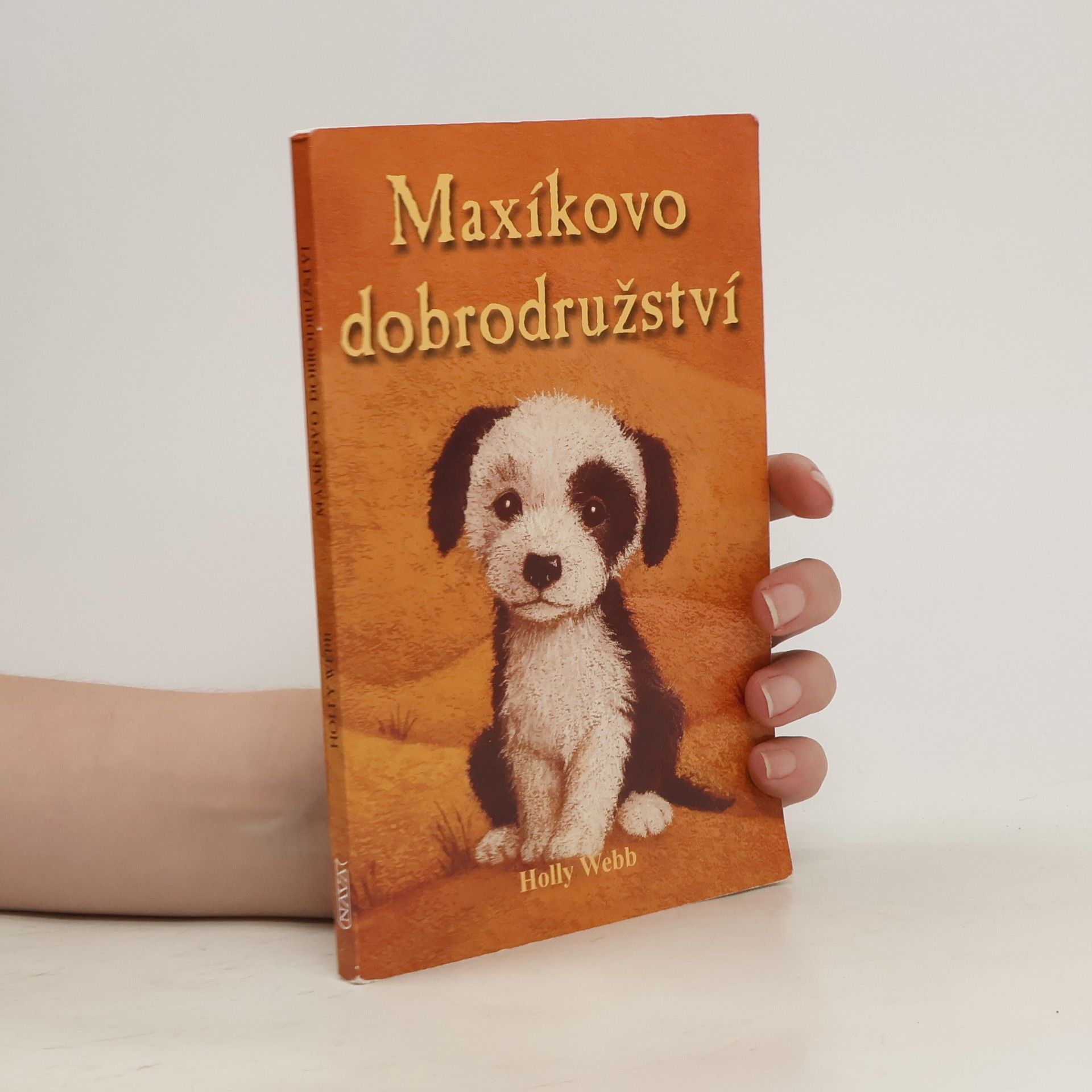 Holly Webb Maxíkovo dobrodružství