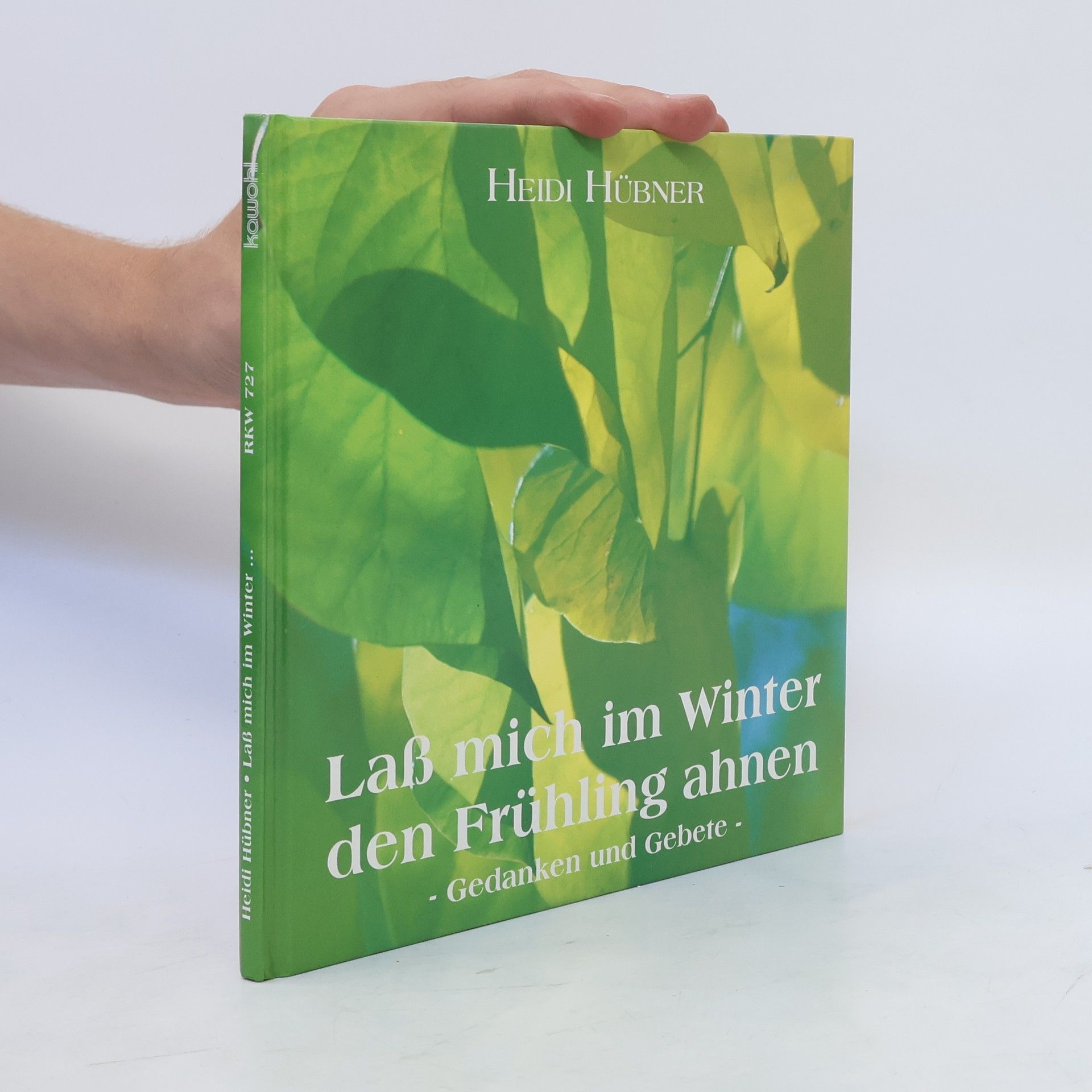 Heidi Hübner Laß mich im Winter den Frühling ahnen