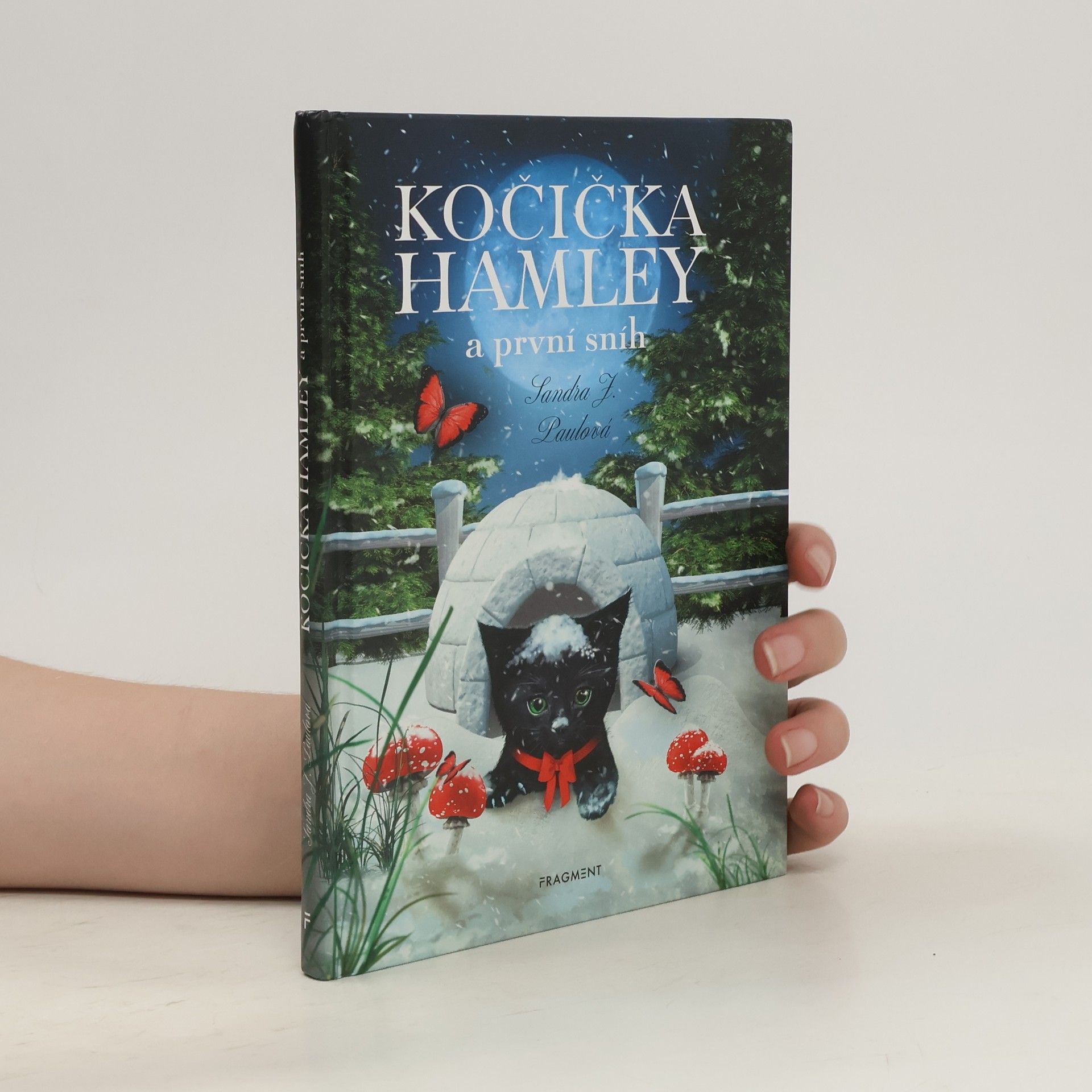 Sandra E Hockenbury Kočička Hamley a první sníh