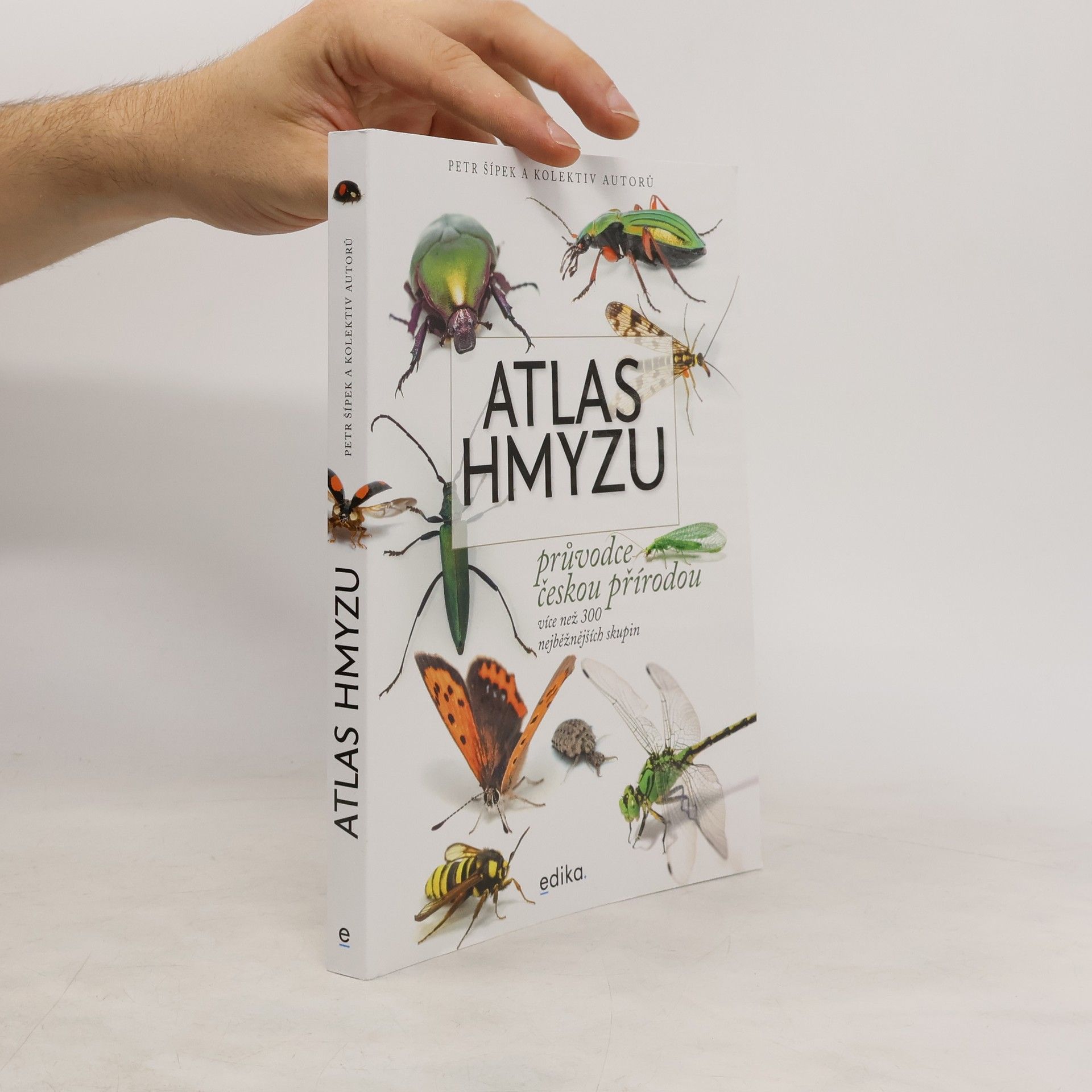 Petr Šípek Atlas hmyzu