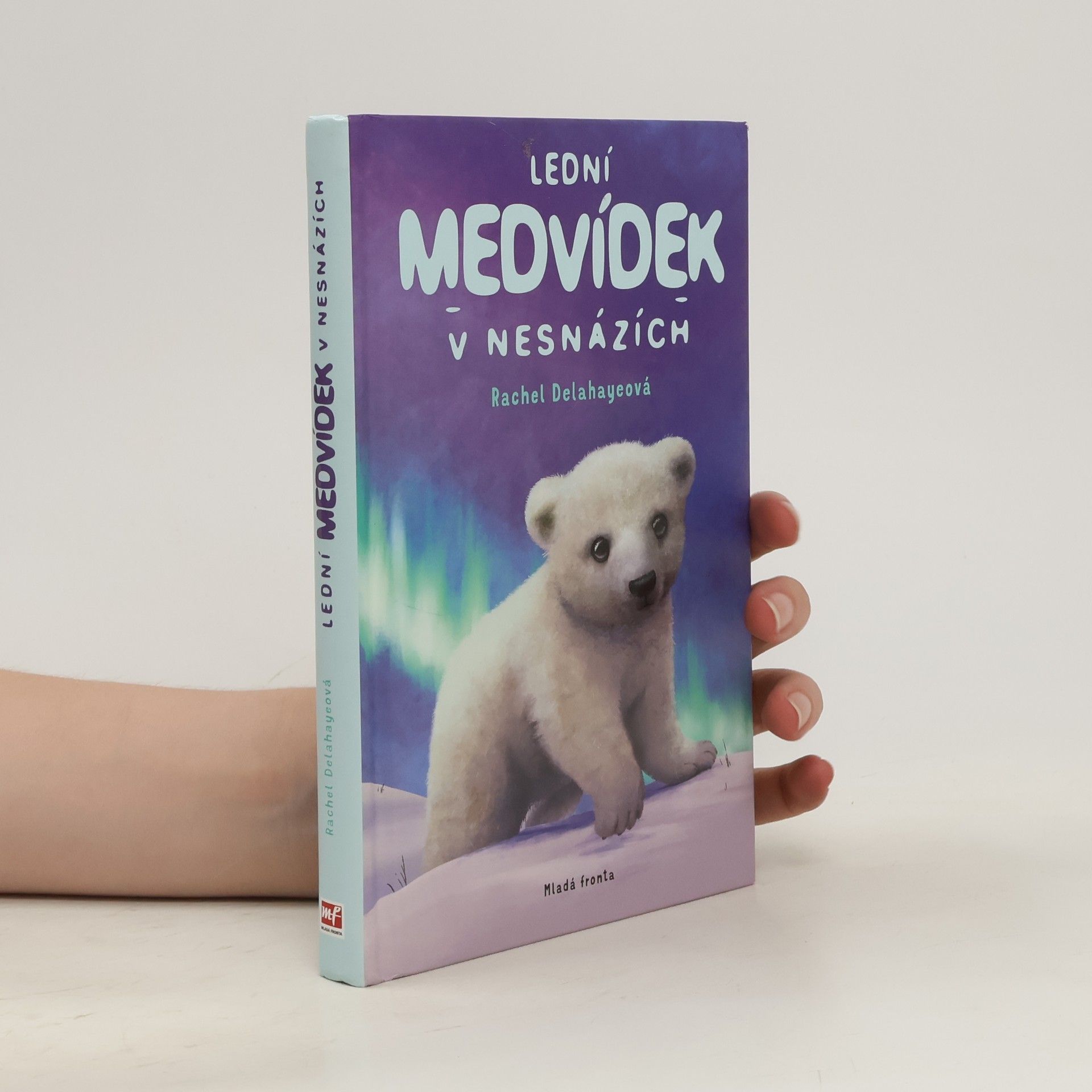Rachel Delahaye Lední medvídek v nesnázích