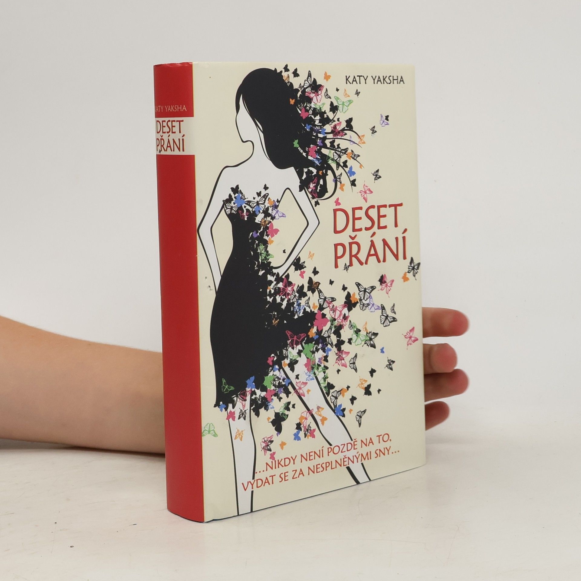 Katy Yaksha Deset přání. ...nikdy není pozdě na to, vydat se za nesplněnými sny...