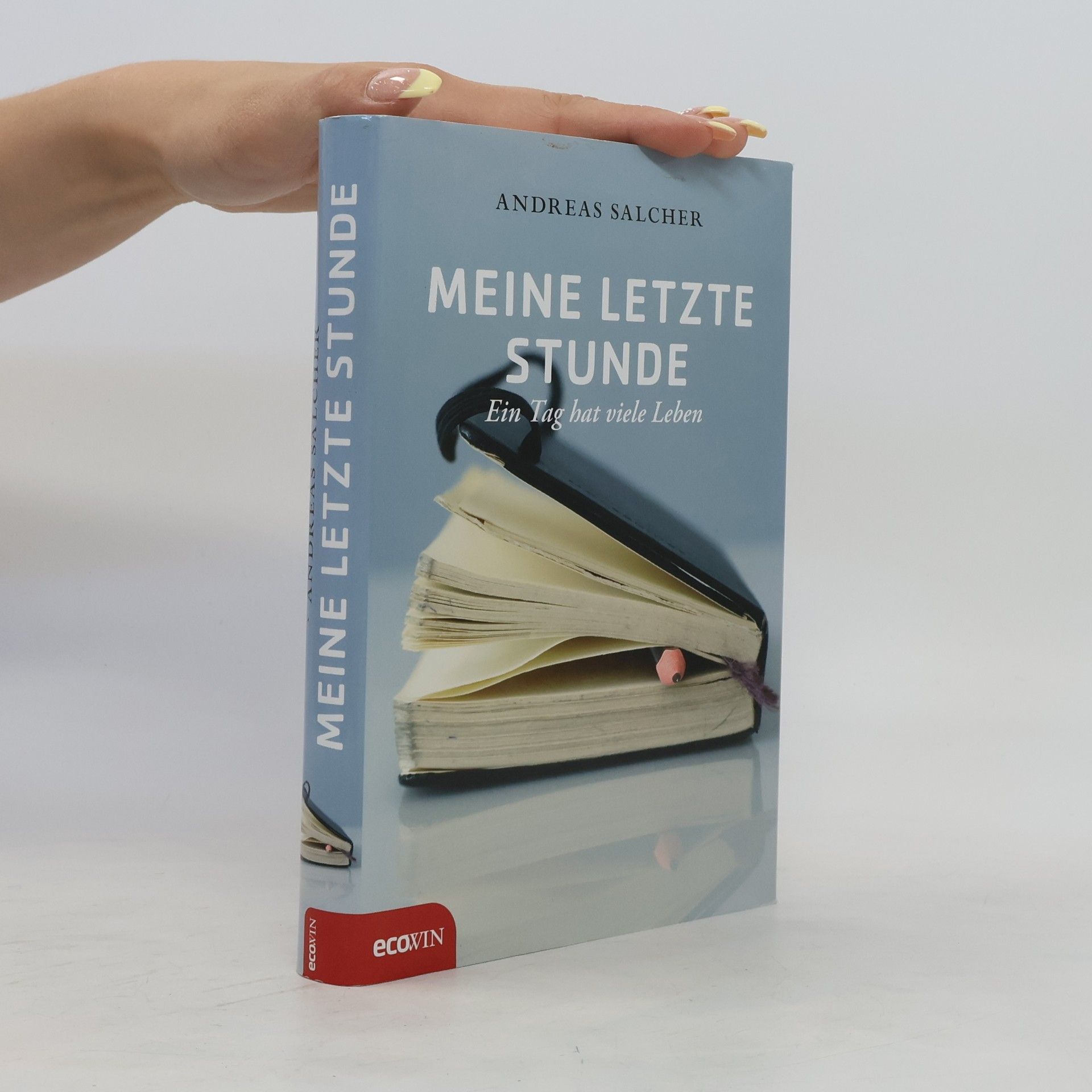 Andreas Salcher Meine letzte Stunde