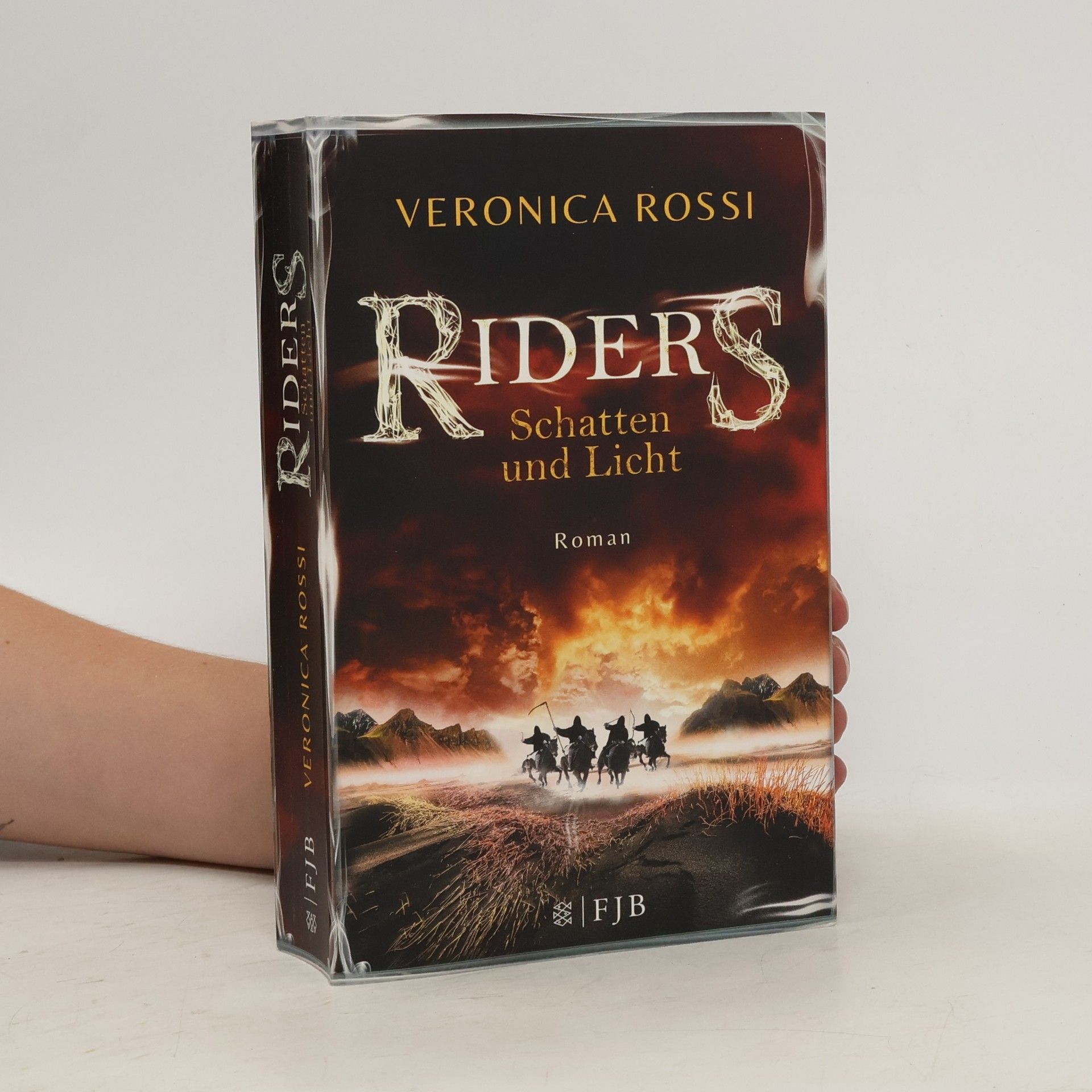 Veronica Rossi Riders - Schatten und Licht