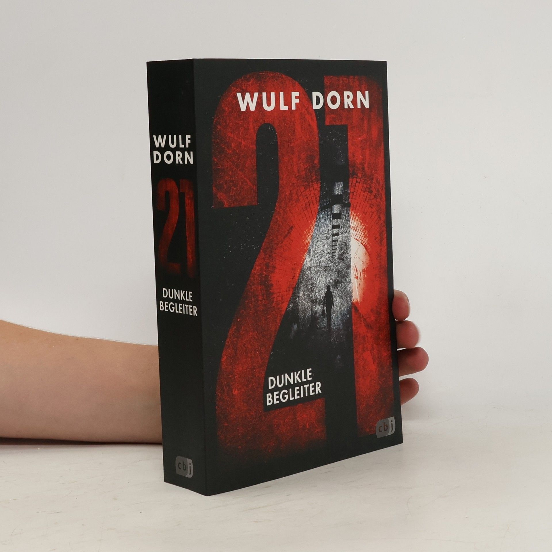 Wulf Dorn 21 - dunkle Begleiter