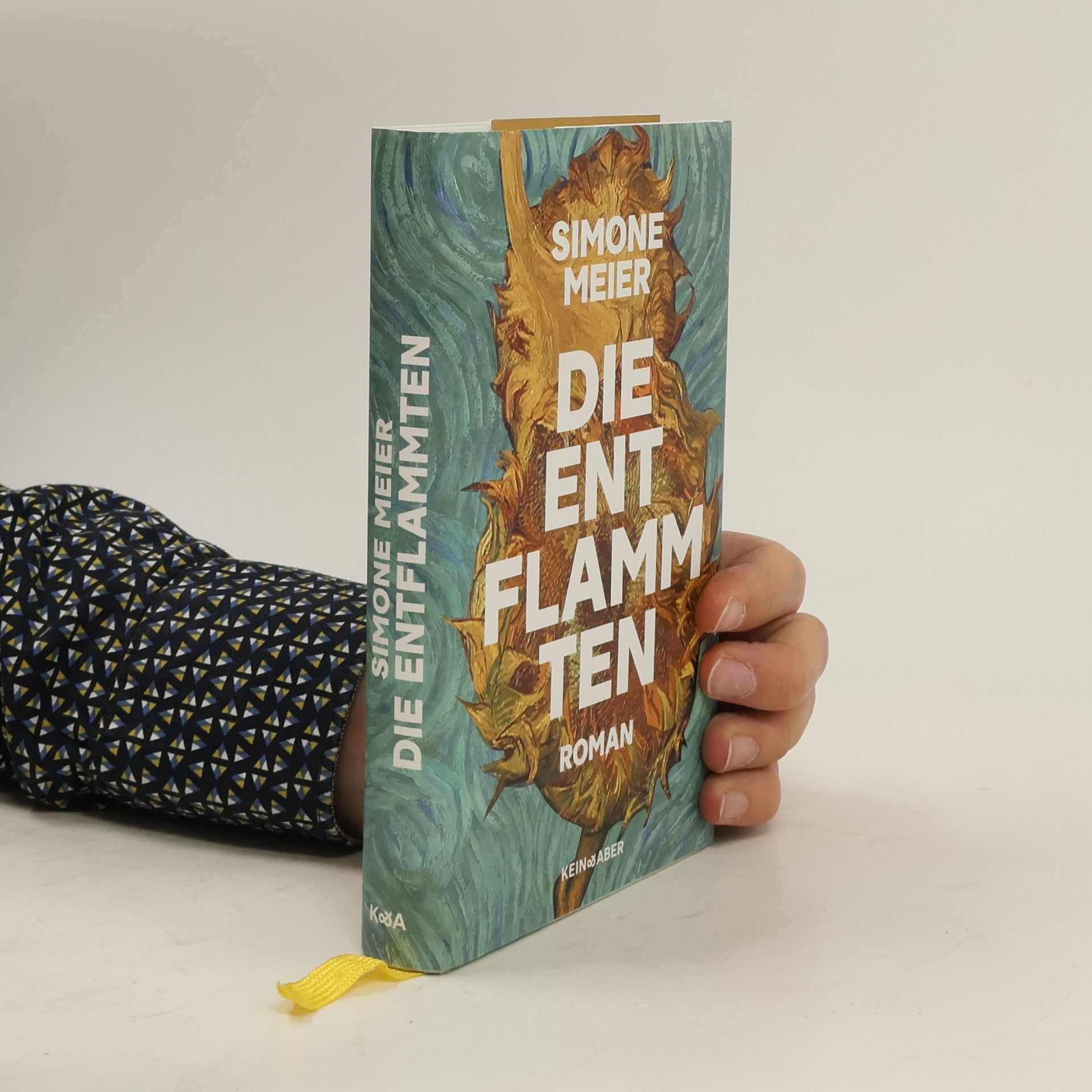 Simone Meier Die Entflammten