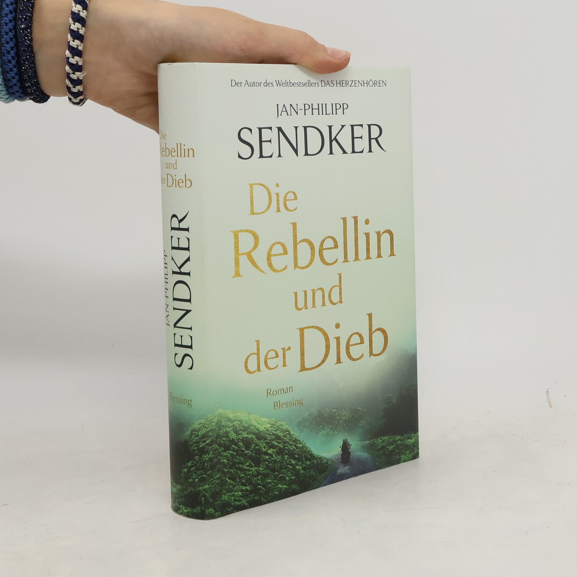 Jan-Philipp Sendker Die Rebellin und der Dieb