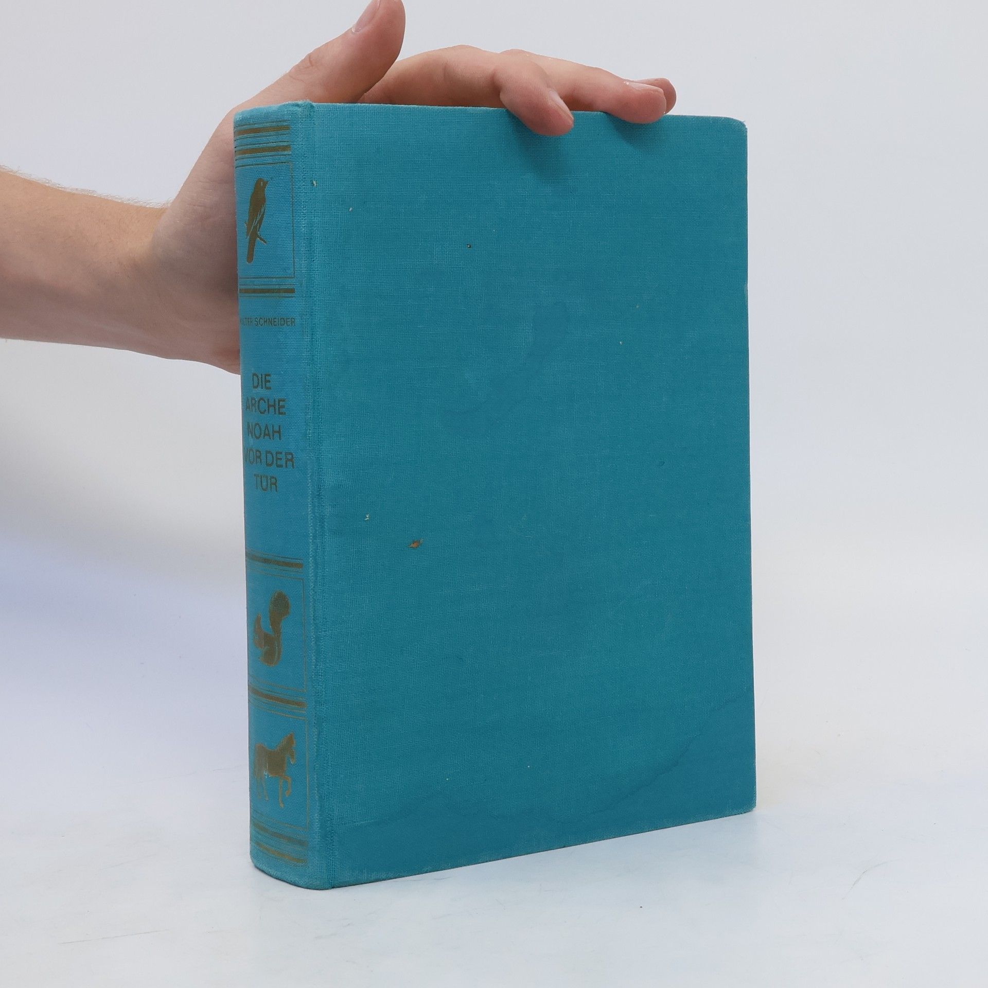 Walter Schneider Die Arche Noah vor der Tür