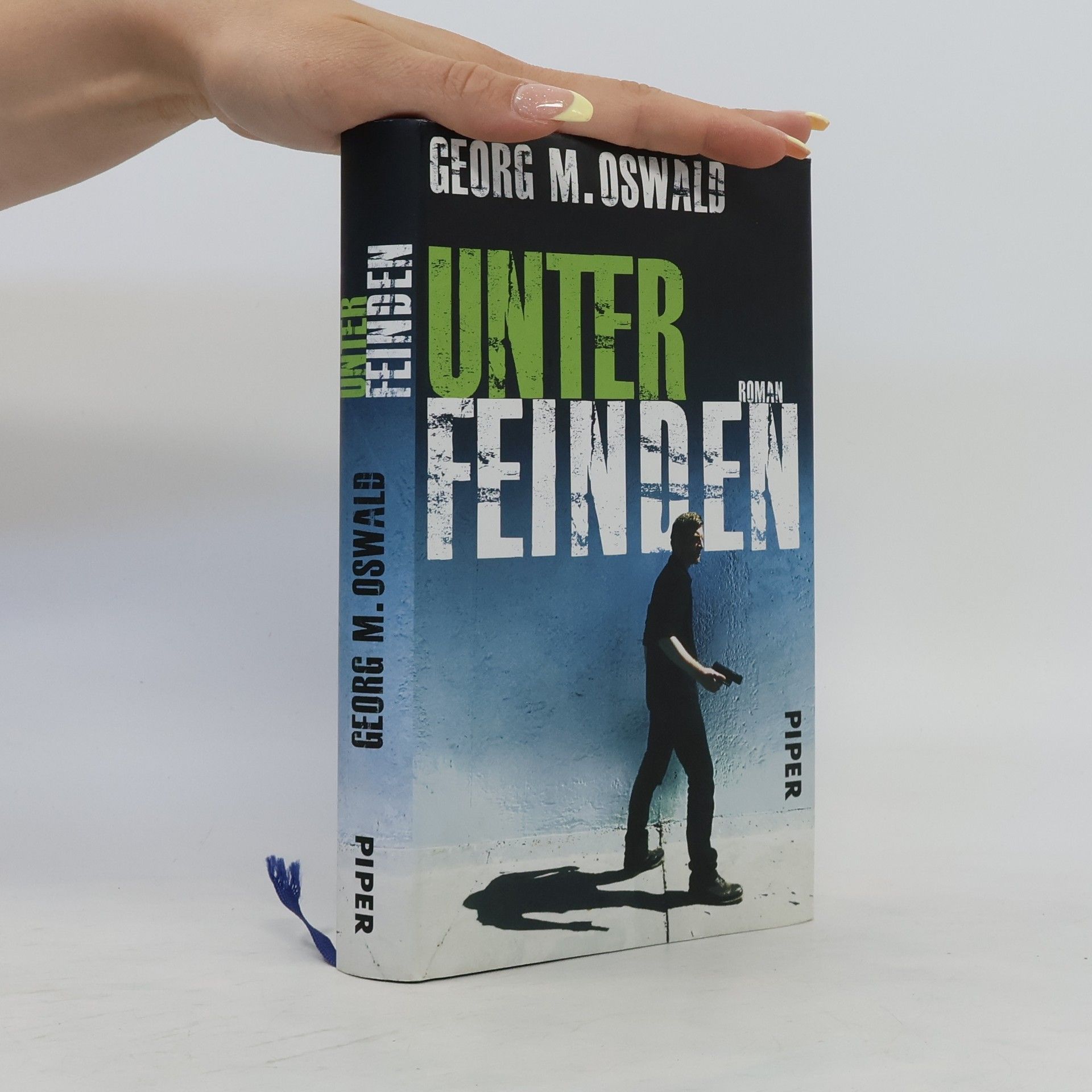 Georg Martin Oswald Unter Feinden