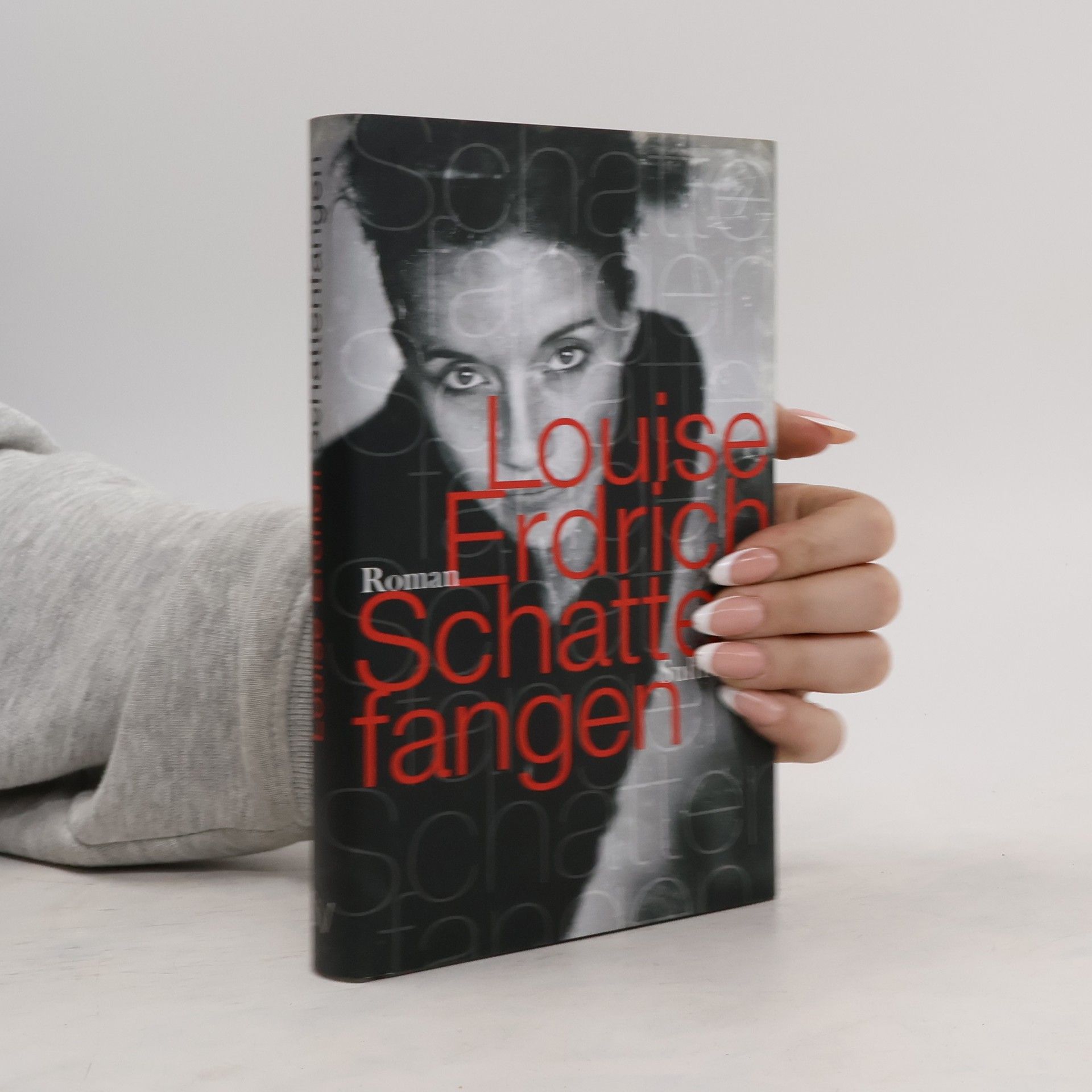 Louise Erdrich Schattenfangen