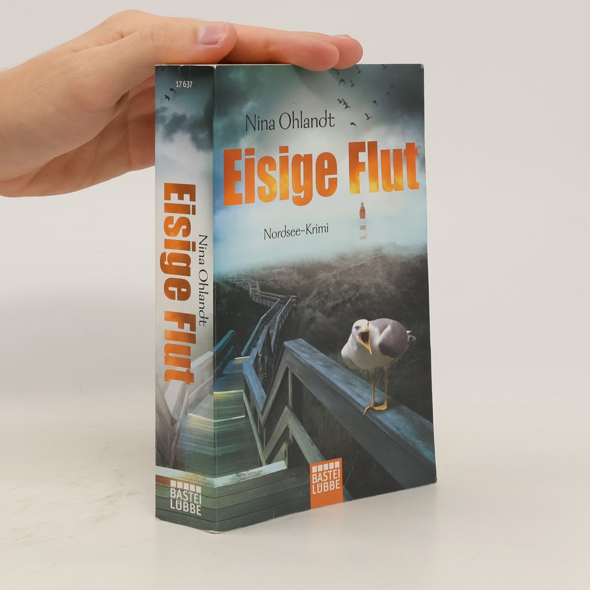 Nina Ohlandt Eisige Flut