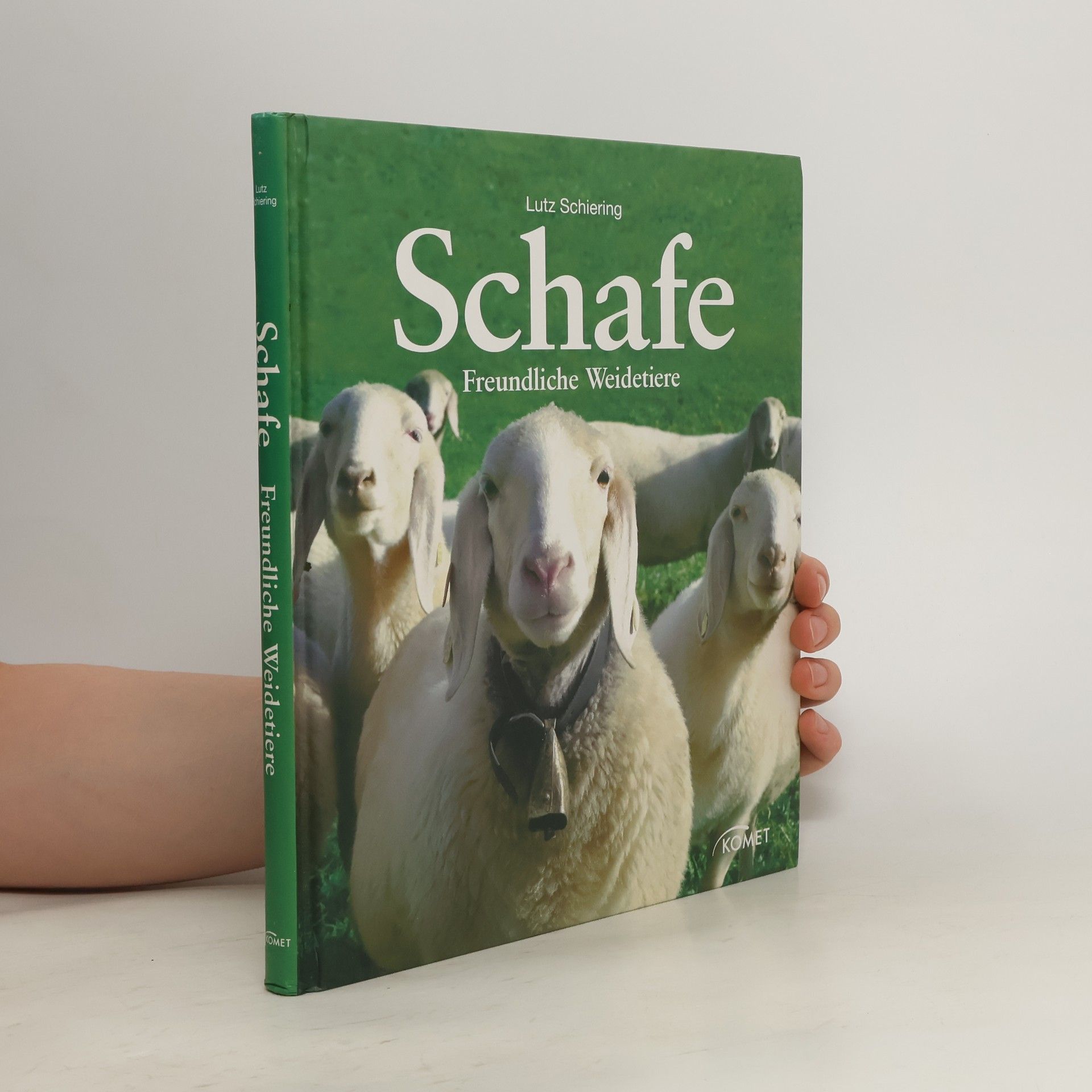 Lutz Schiering Schafe