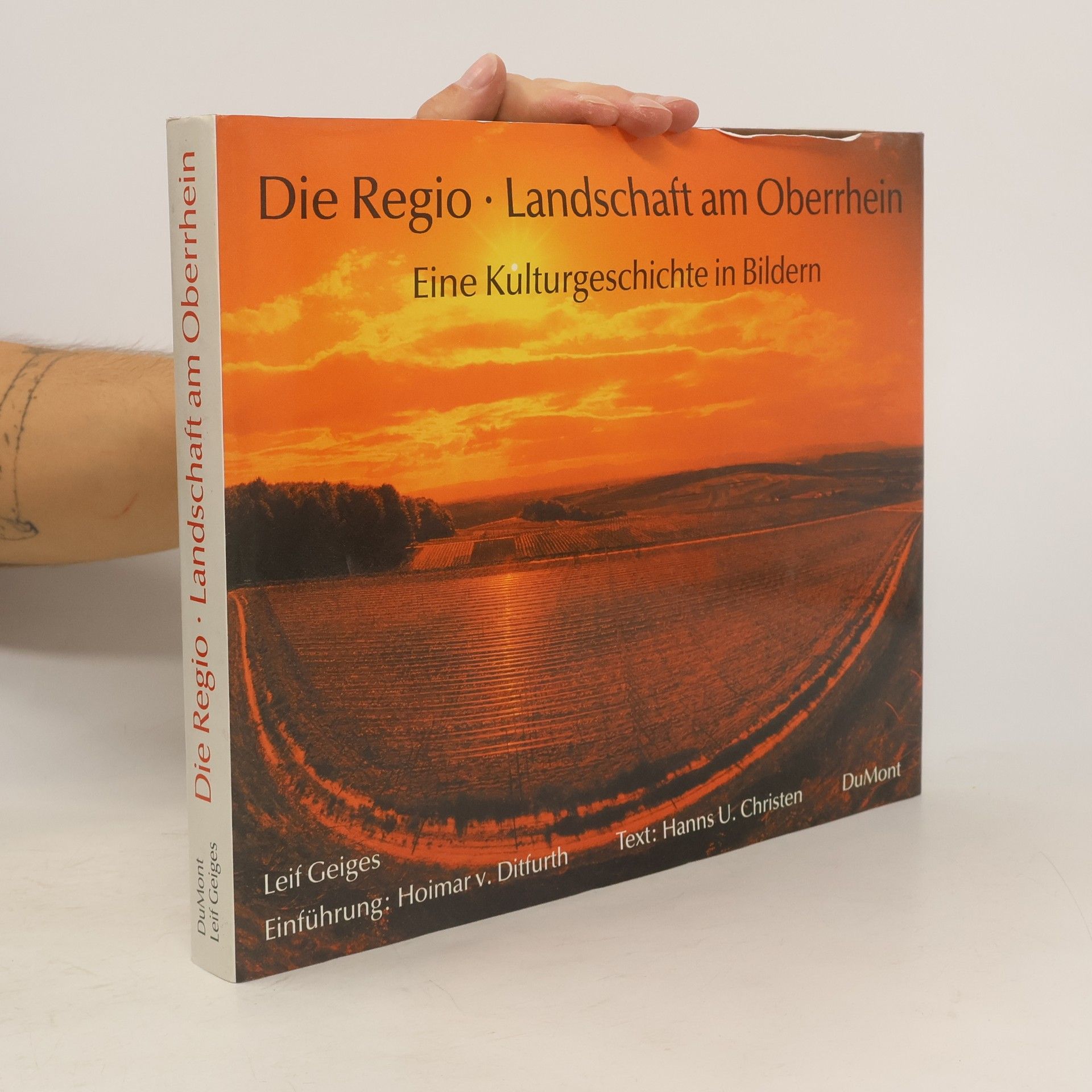 Leif Geiges Die Regio, Landschaft am Oberrhein