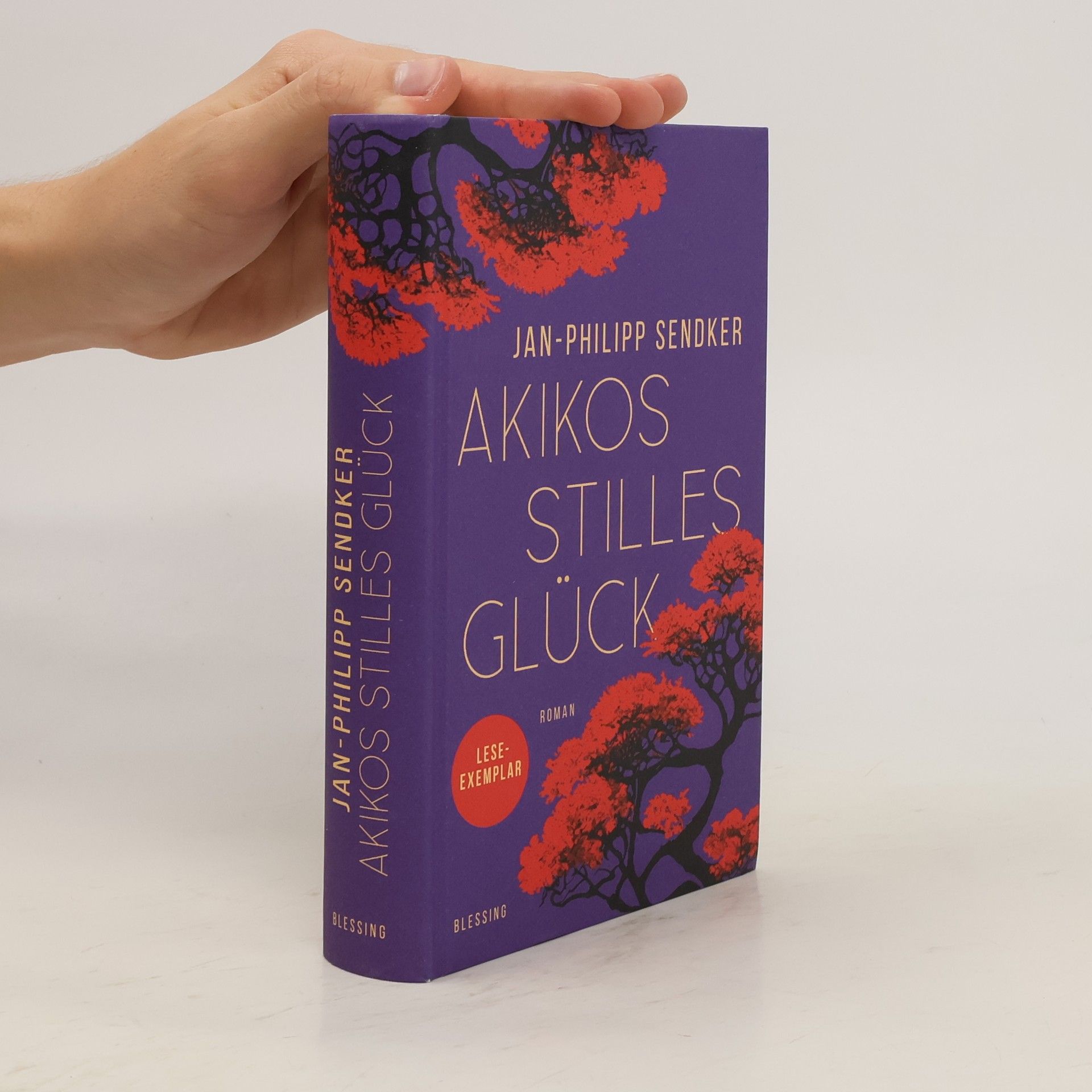 Jan-Philipp Sendker Akikos stilles Glück. Roman