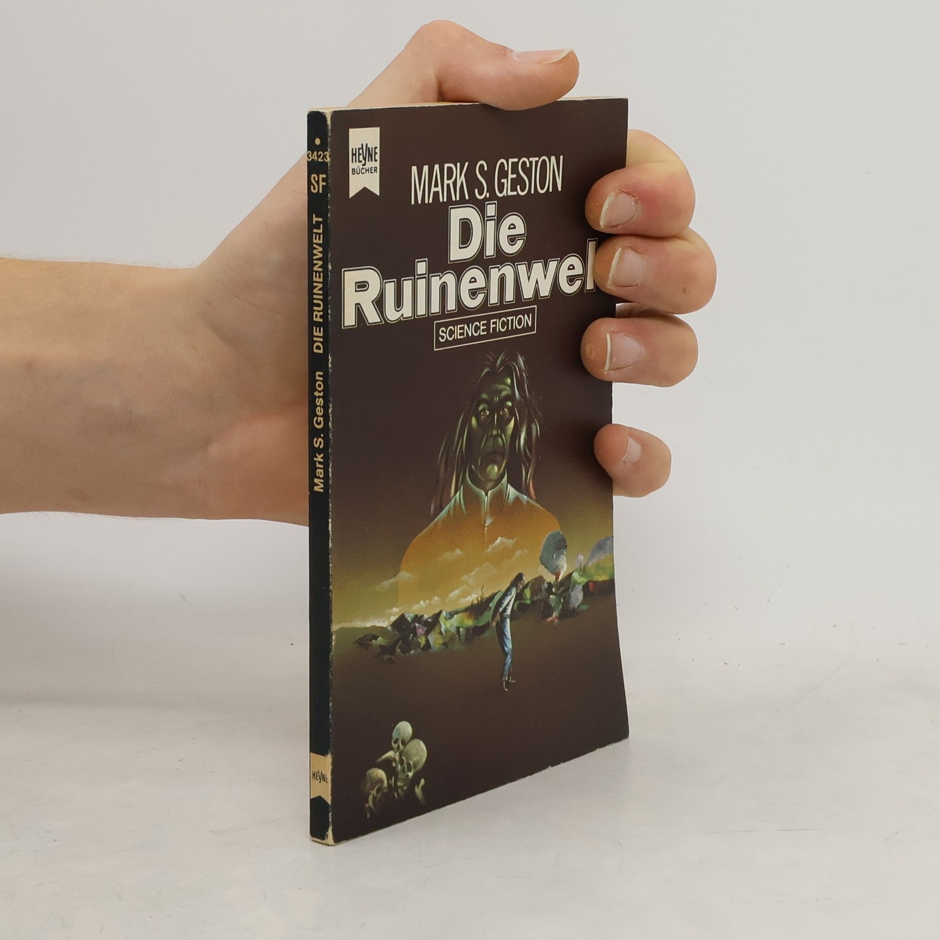 Mark S. Geston Die Ruinenwelt