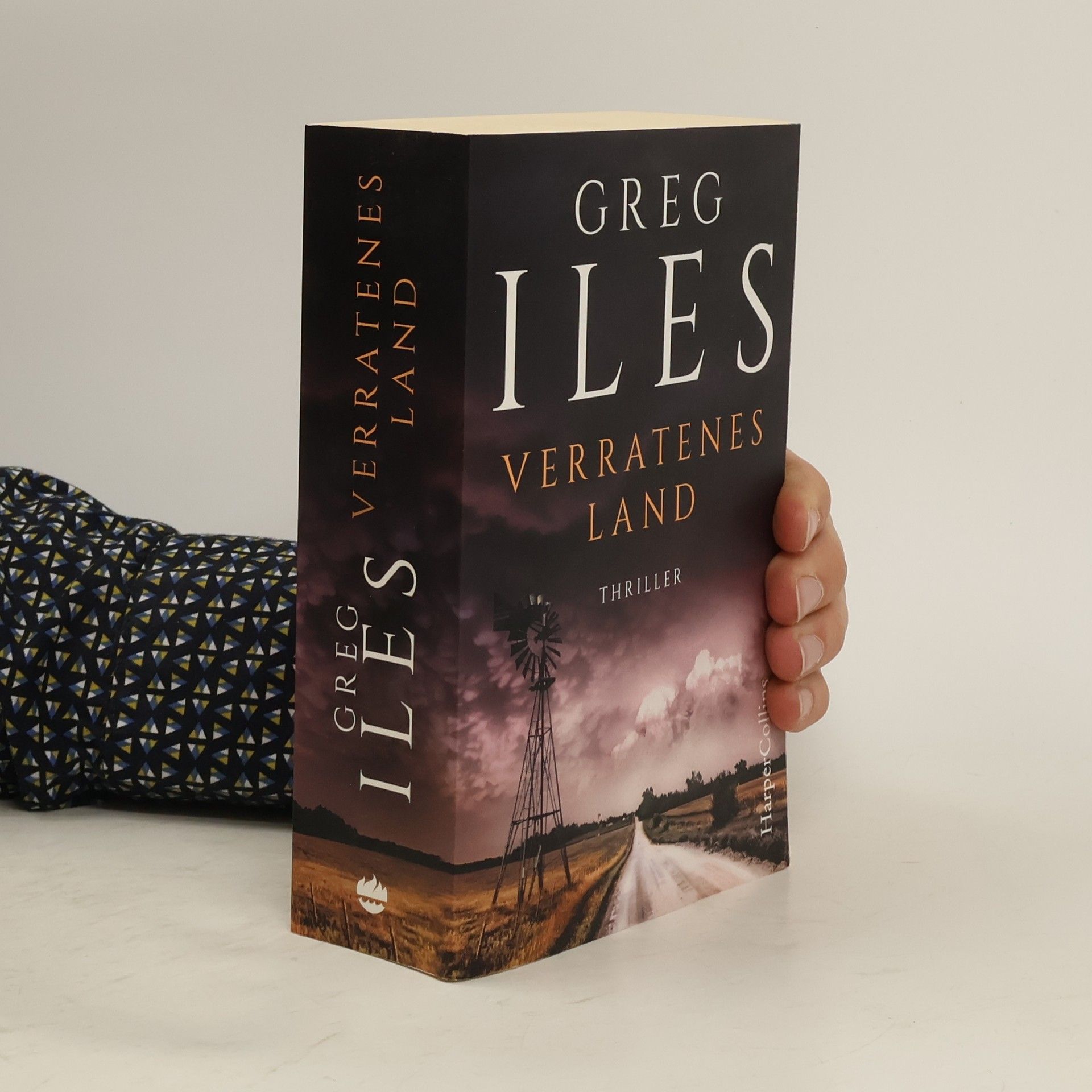 Greg Iles Verratenes Land