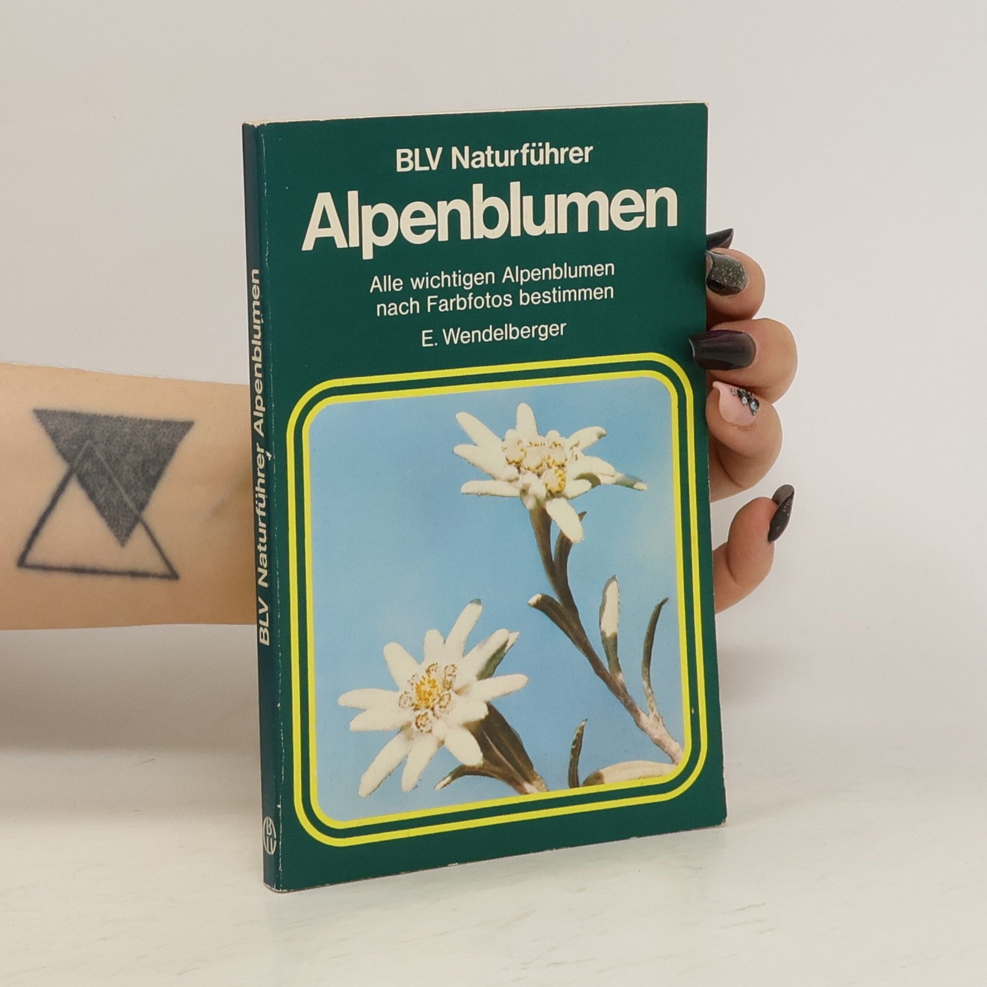 Elfrune Wendelberger Alpenblumen