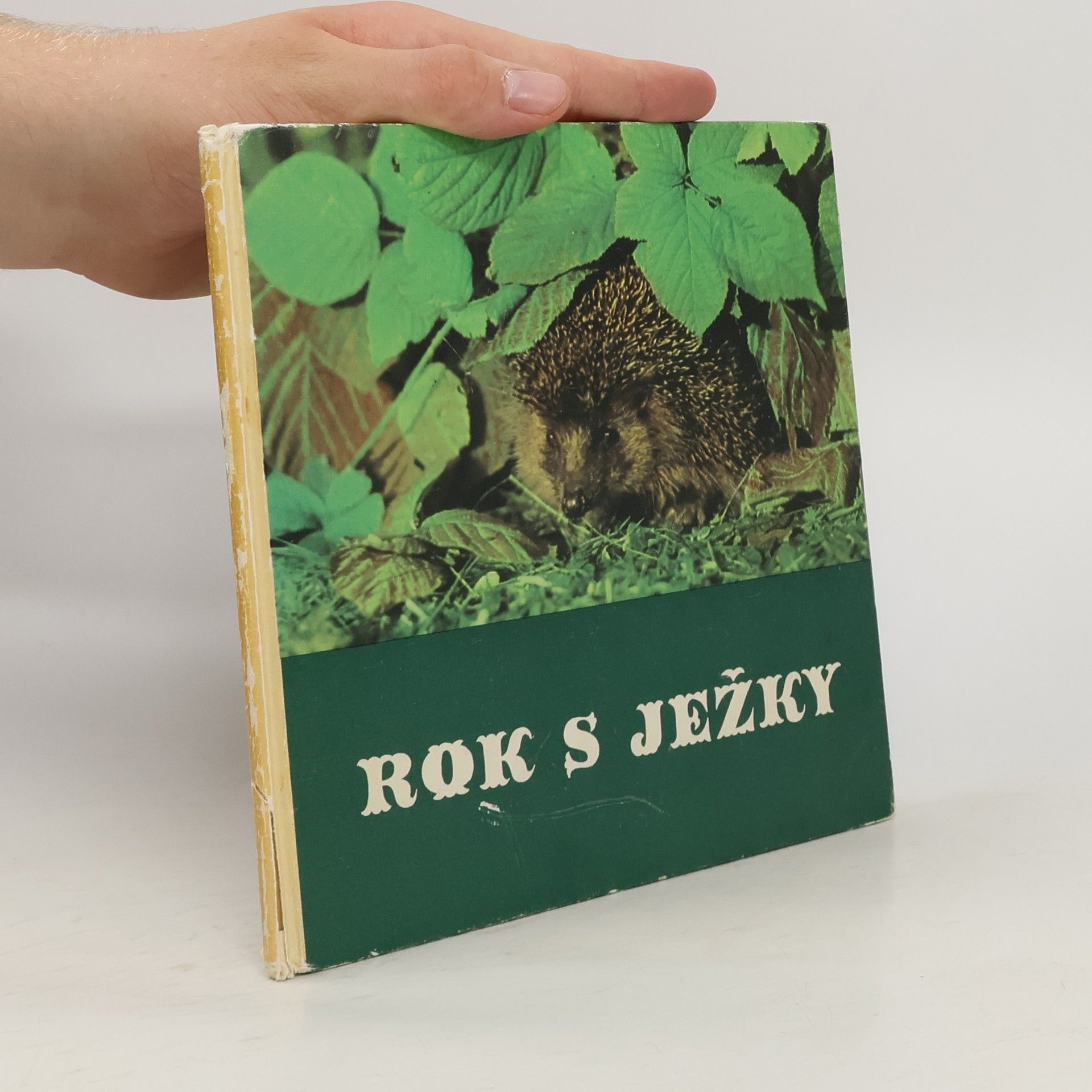 Friedrich W. Stöcker Rok s ježky