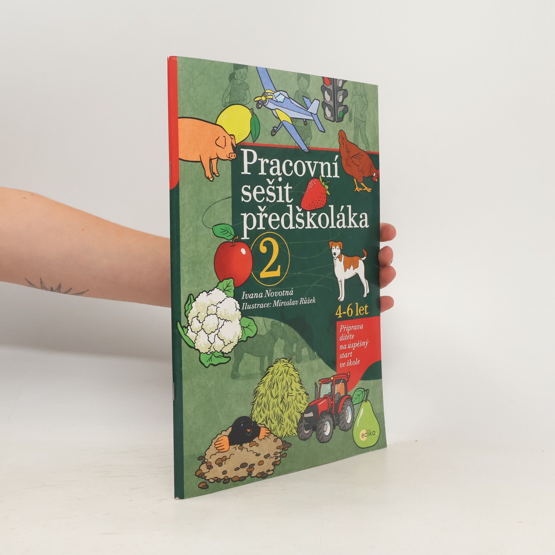 Ivana Novotná Pracovní sešit předškoláka 2