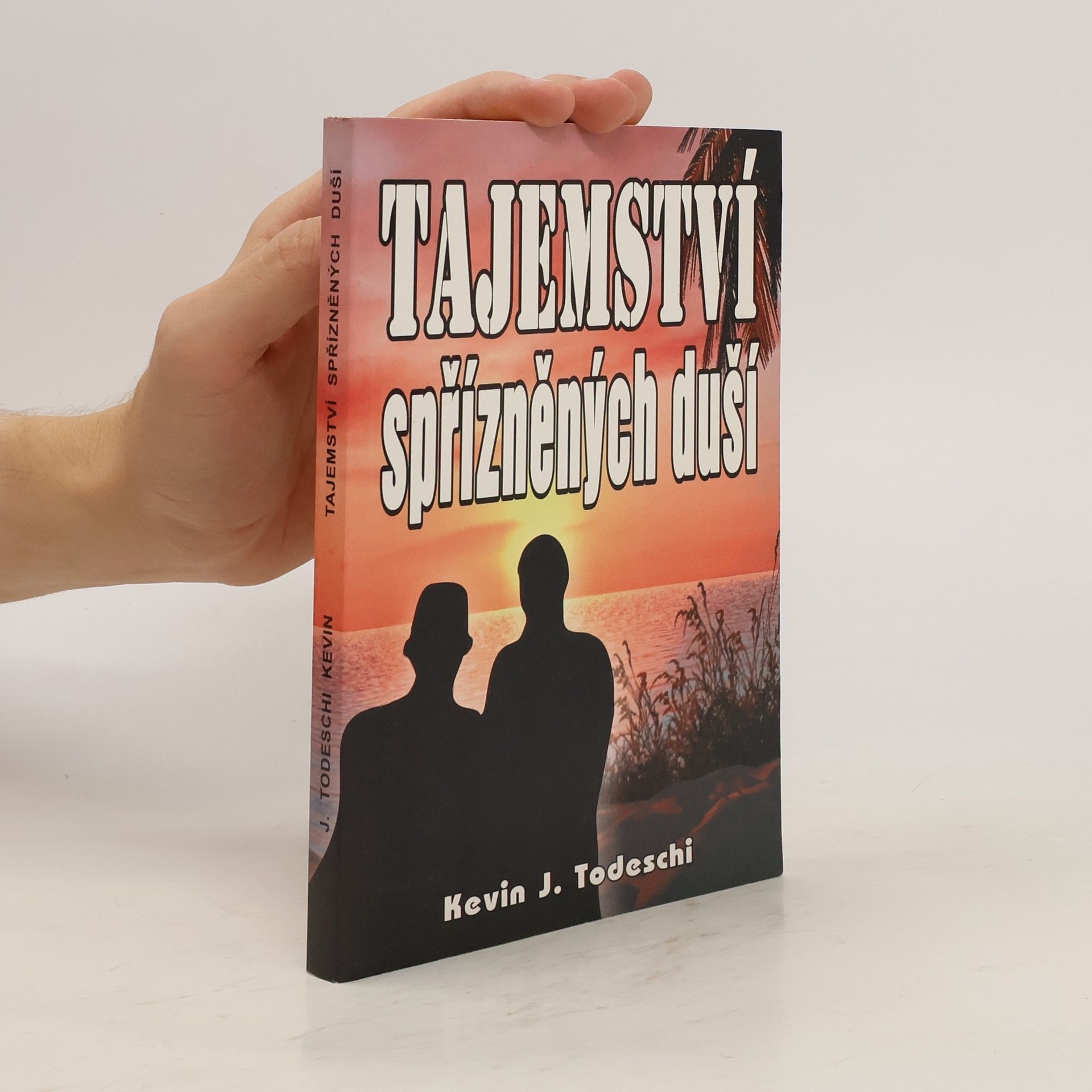 Edgar Cayce Tajemství spřízněných duší