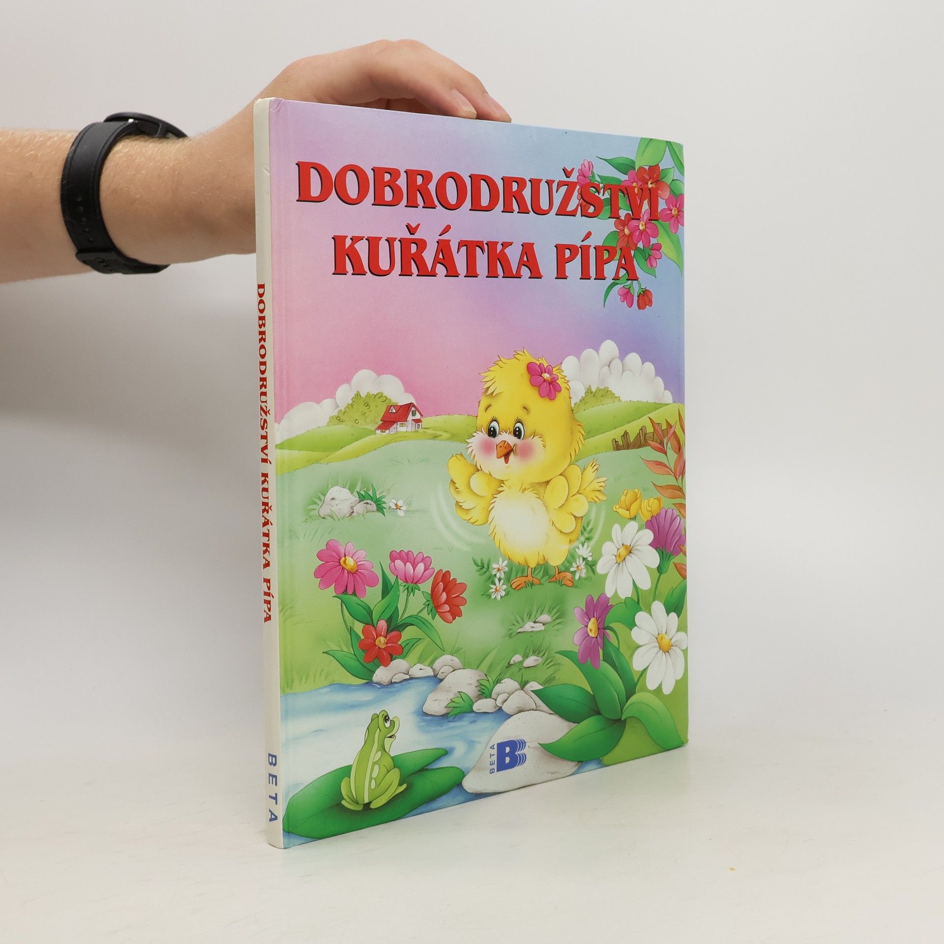 Maggiorina Castoldi Dobrodružství kuřátka Pípa