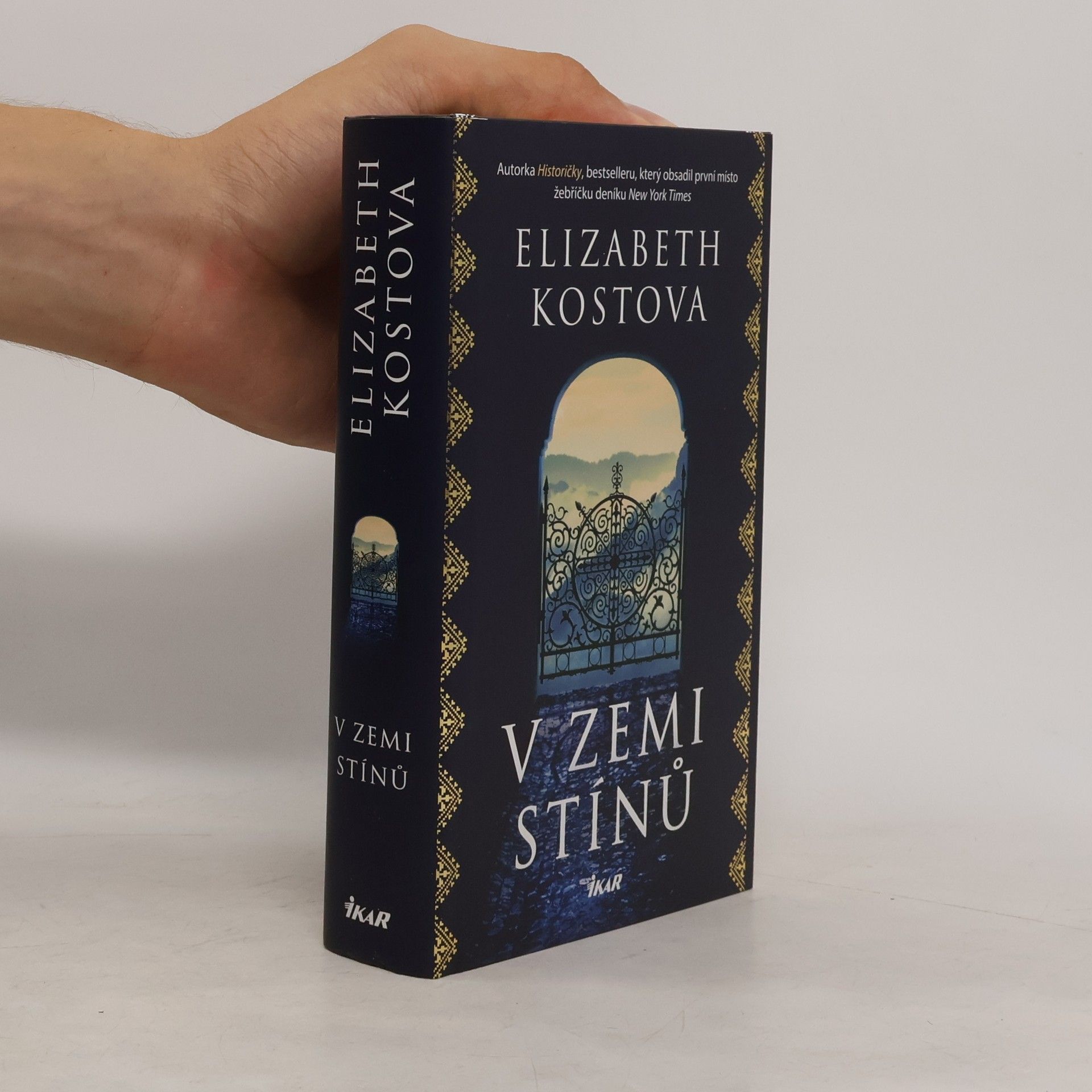 Elizabeth Kostova V zemi stínů