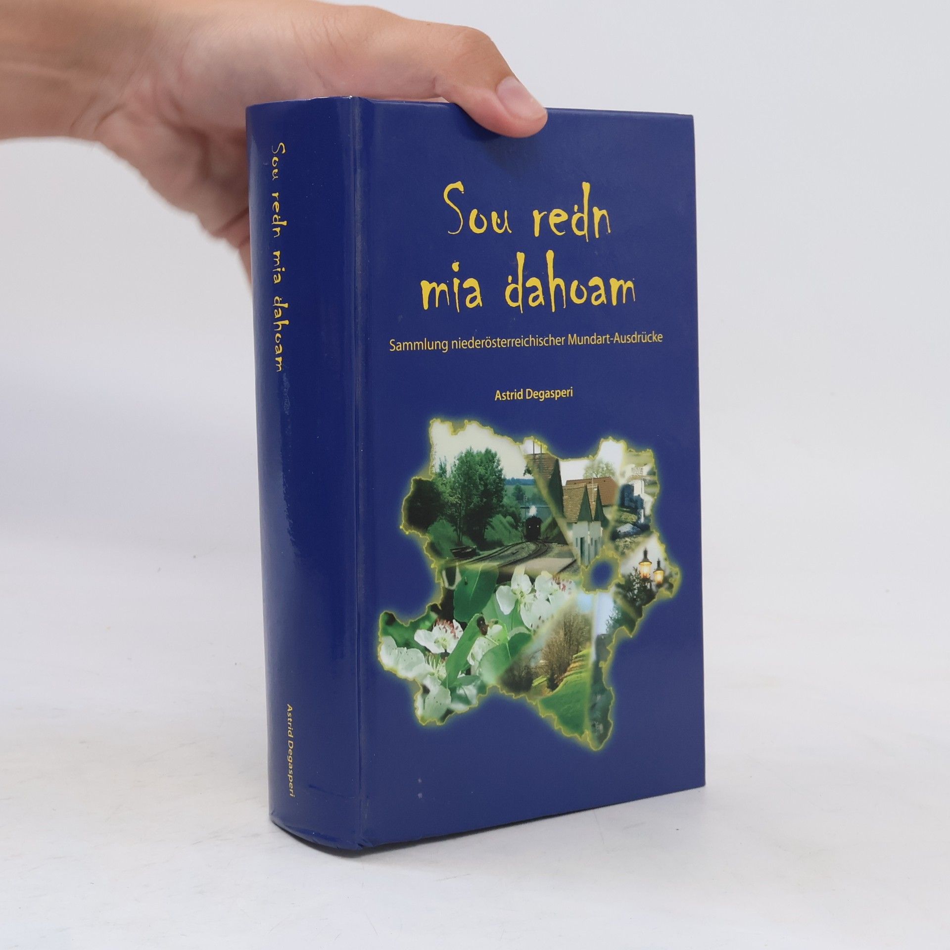 Astrid Degasperi Sou redn mia dahoam