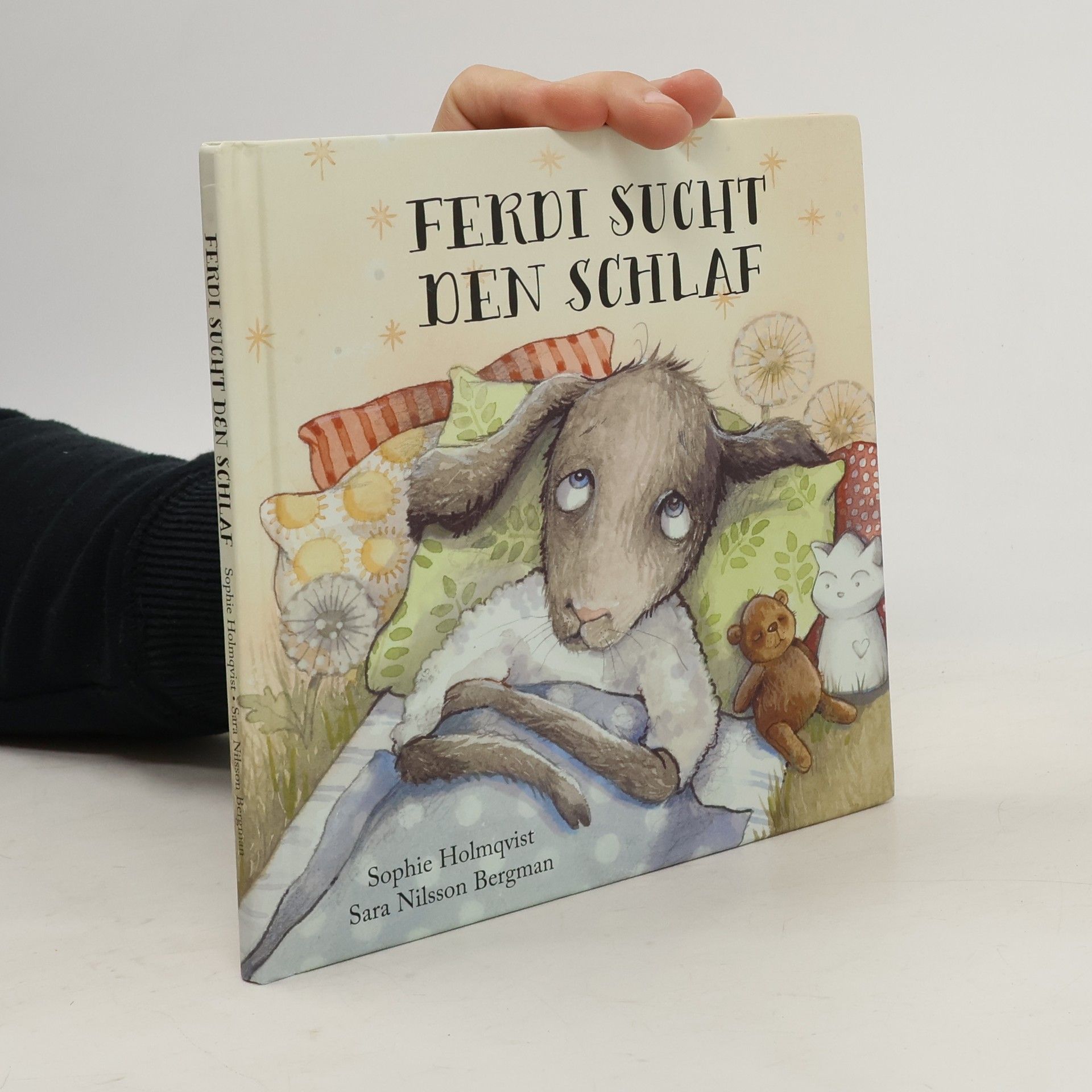 Sara Nilsson Bergman Ferdi Sucht den Schlaf