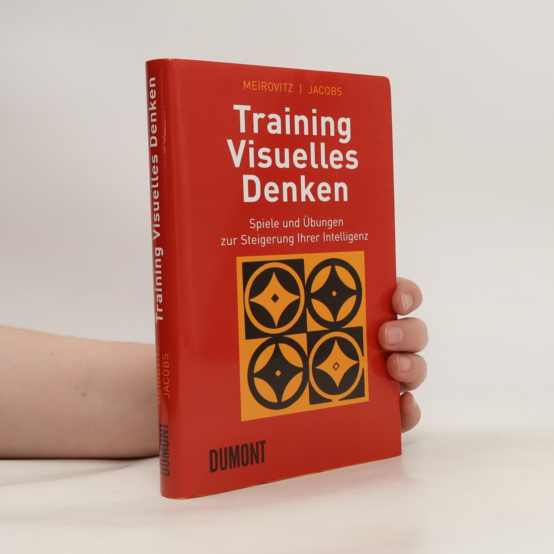 Marco Meirovitz Training visuelles Denken