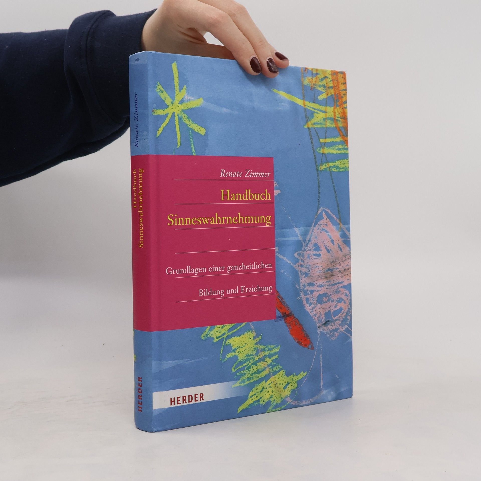 Renate Zimmer Handbuch der Sinneswahrnehmung