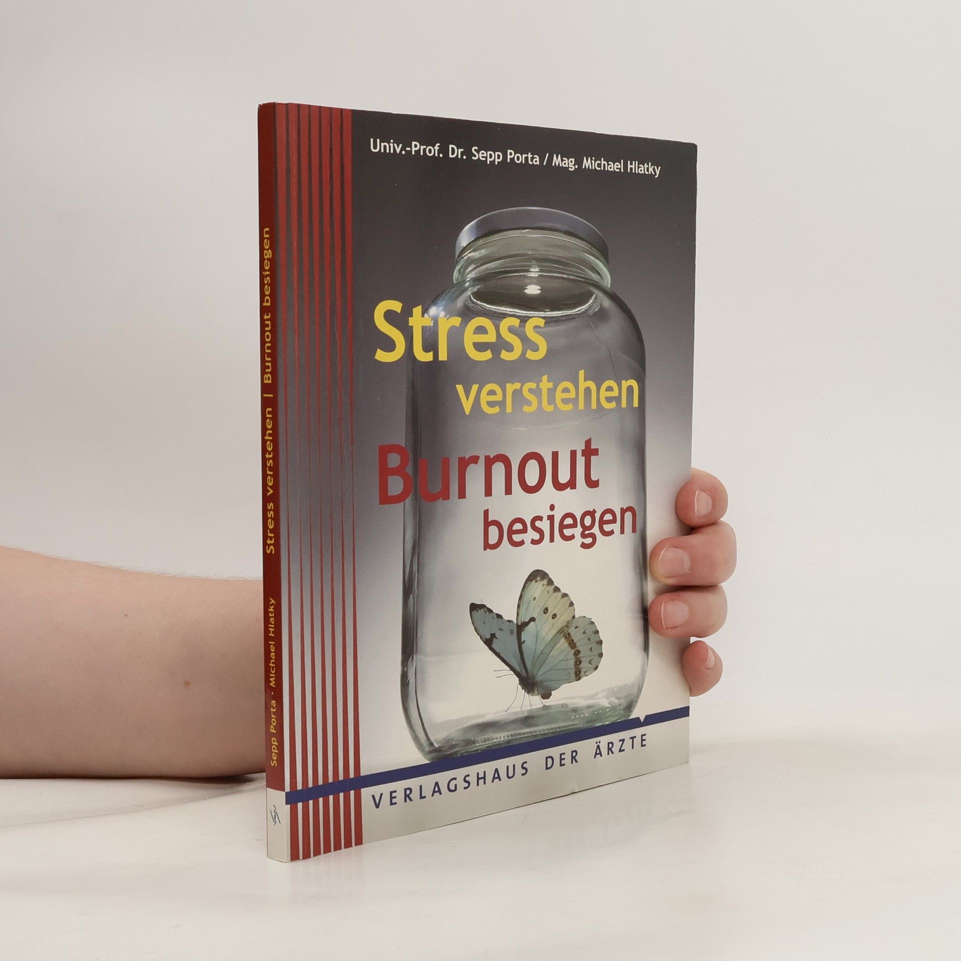 Sepp Porta Stress verstehen - Burnout besiegen