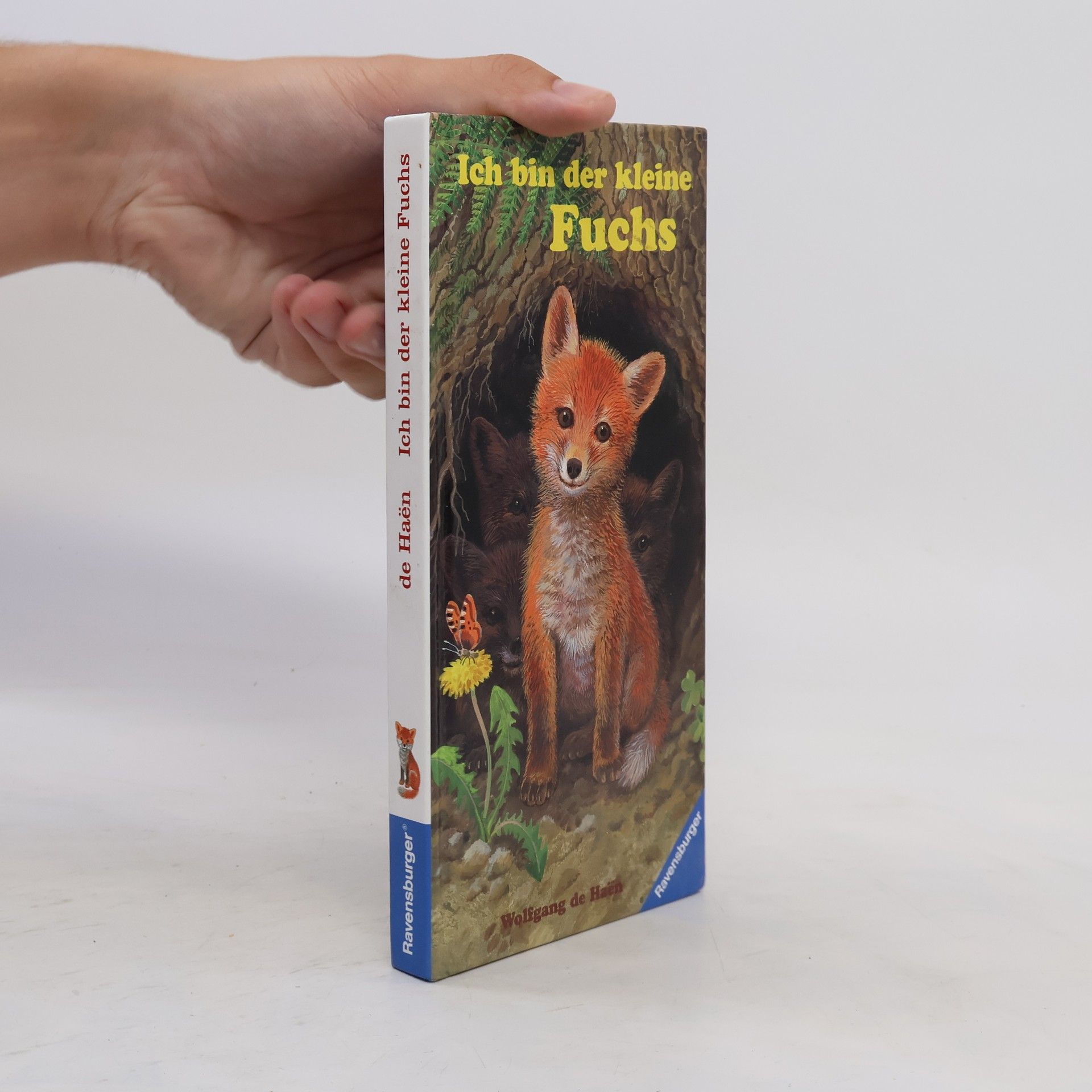 Wolfgang de Haen Ich bin der kleine Fuchs