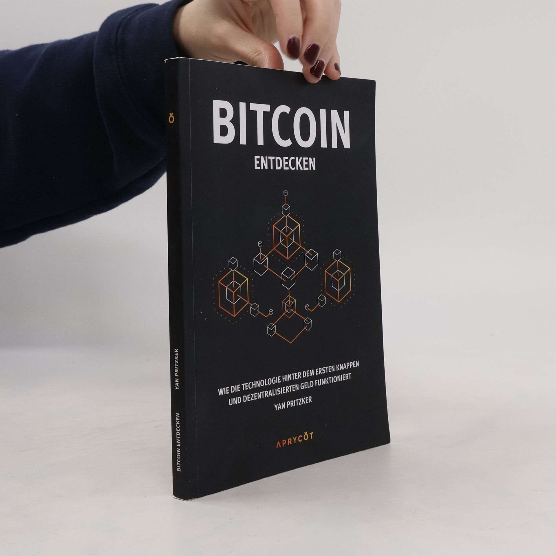 Yan Pritzker Bitcoin entdecken