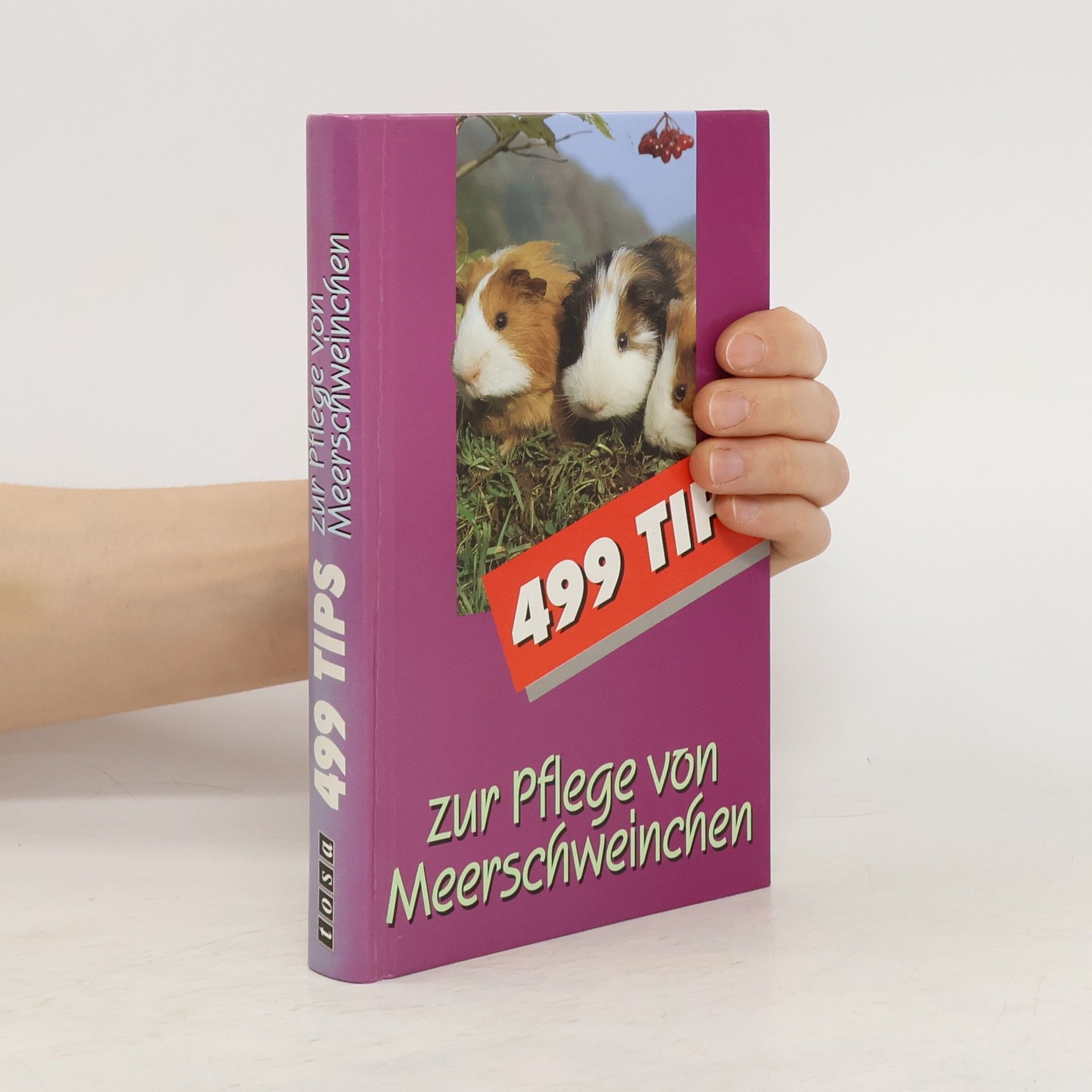 Maximilian Lang 499 Tips zur Pflege von Meerschweinchen