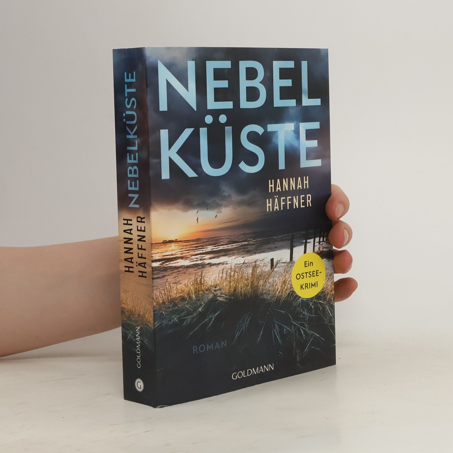 Hannah Häffner Nebelküste
