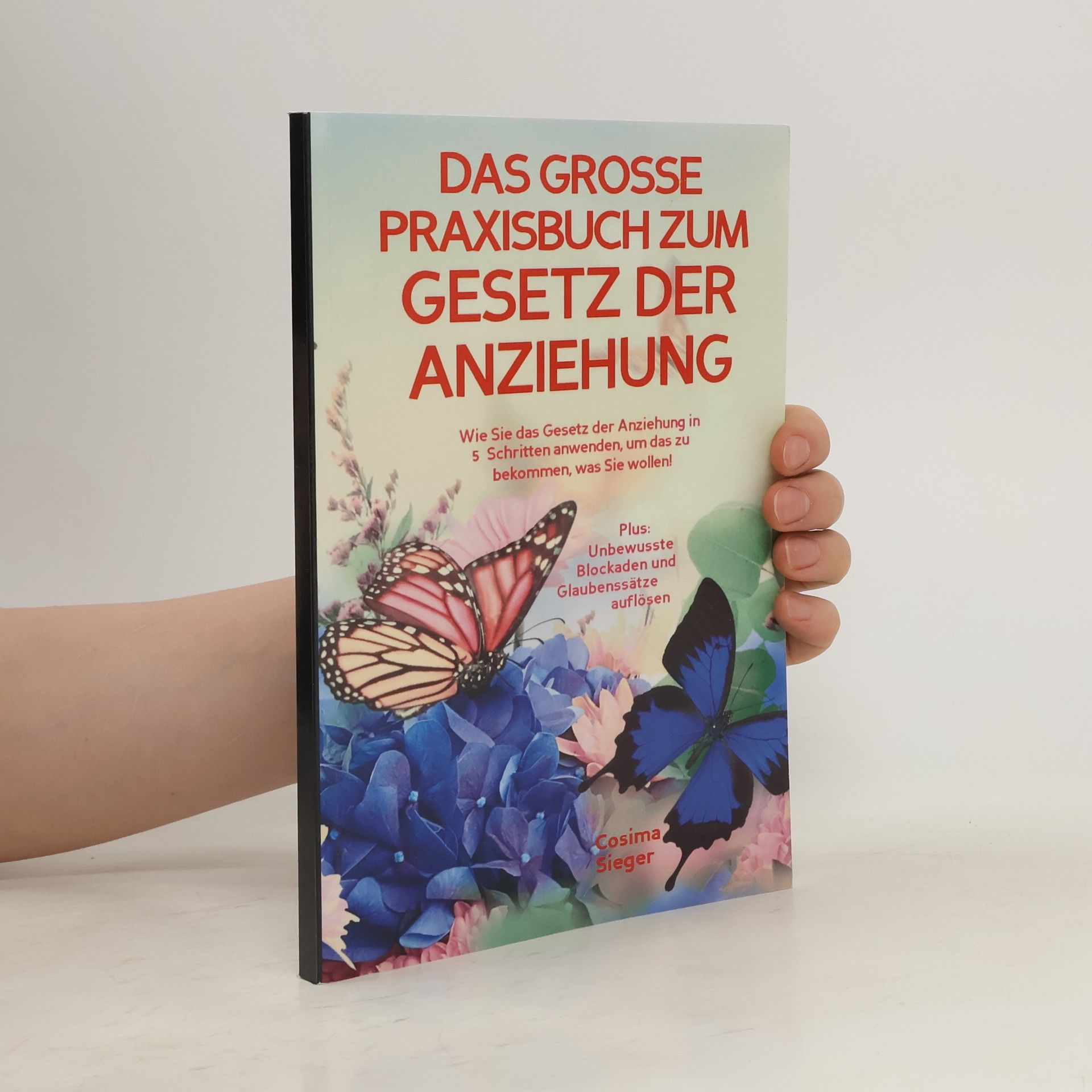 Das grosse Praxisbuch zum Gesetz der Anziehung!